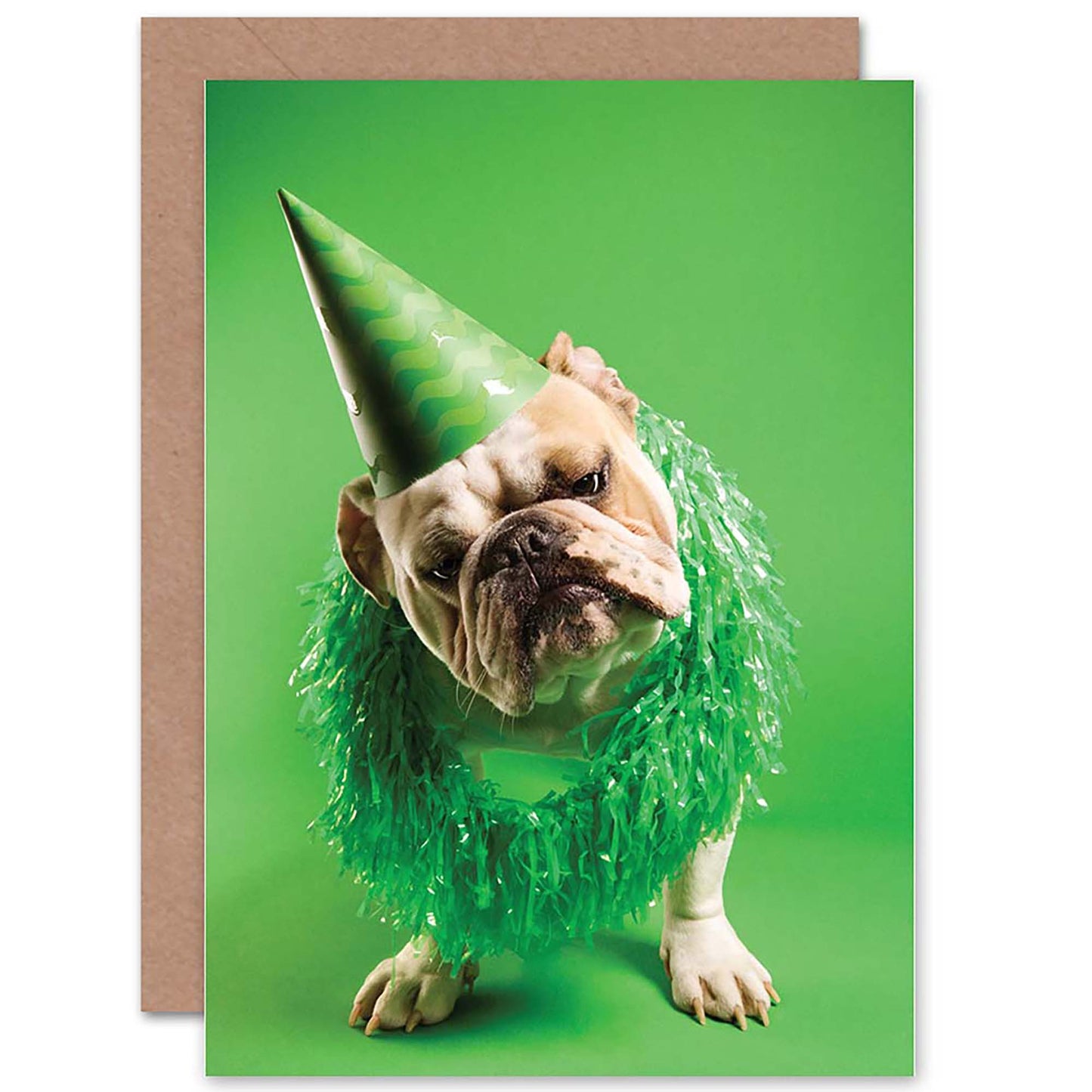 Dog Lover Pet Bulldog Party Hat Green Birthday Card