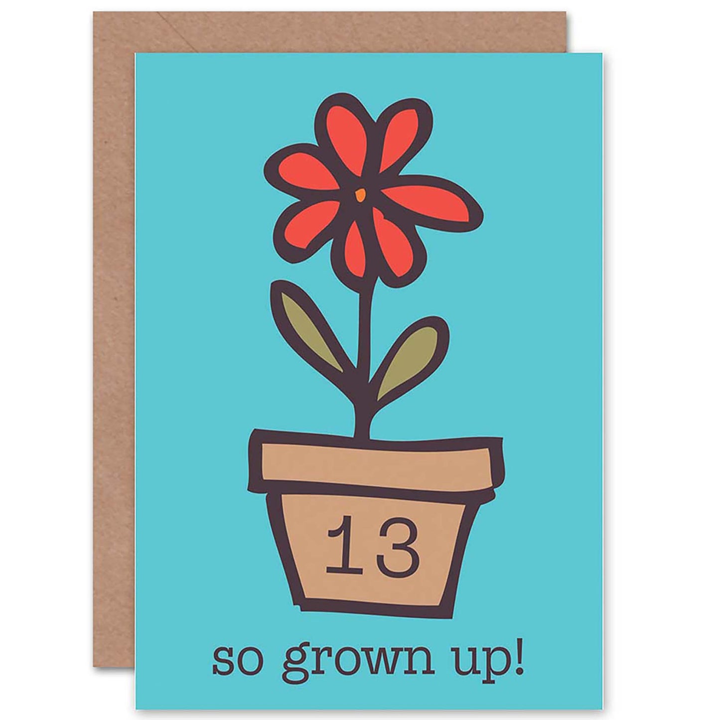 Age 13 Teenager So Grown Up Flower Pot Teen Birthday Card
