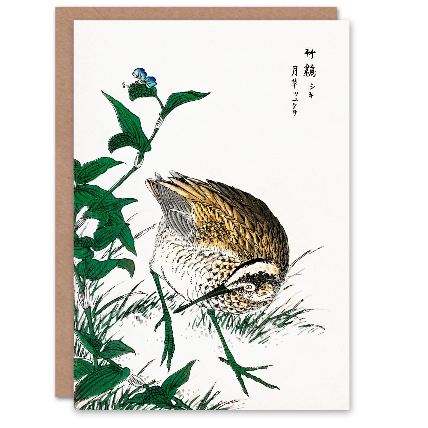 Numata Kashu Greenshank and Bupleurum Japanese Greetings Card