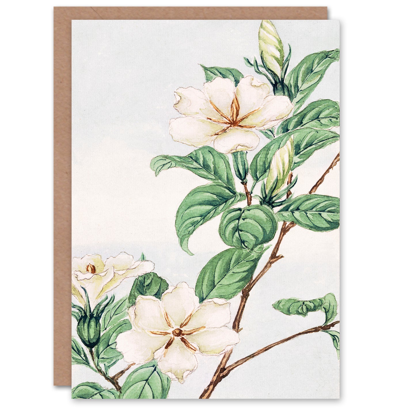 Megata Morikaga Cape Jasmine Vintage Japanese Greetings Card