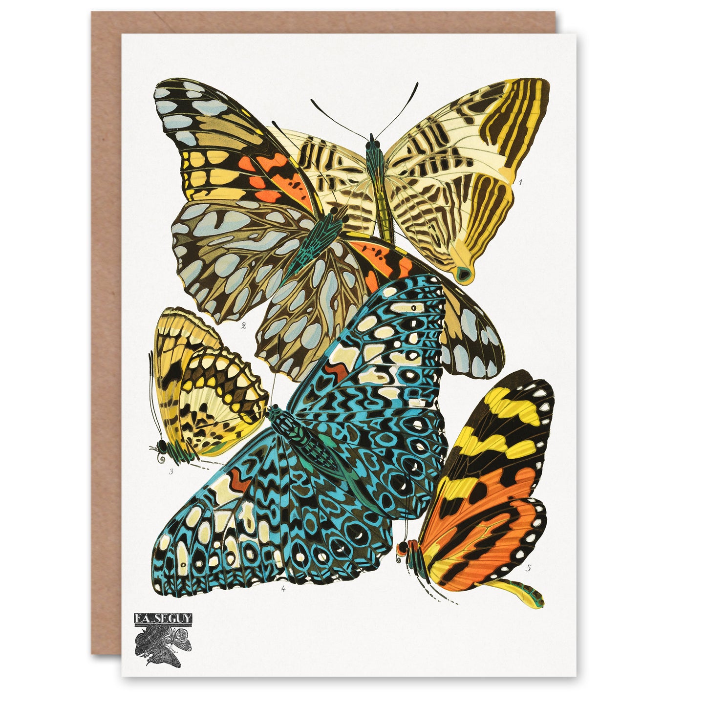 Eugene Seguy Vintage Butterflies Blue Yellow Greetings Card
