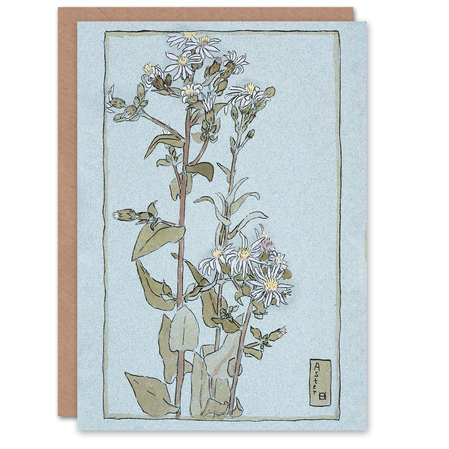 Hannah Borger Overbeck Aster on Green Ground Greetings Card