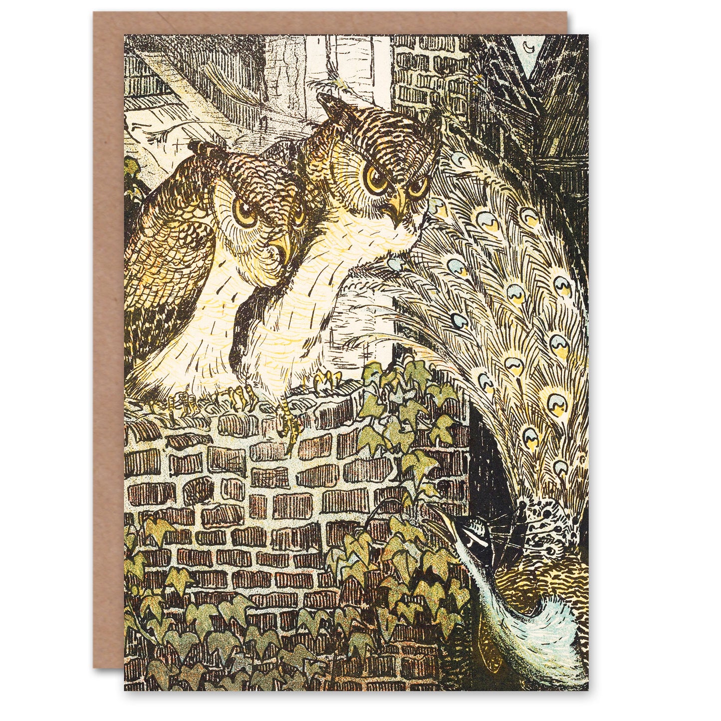 Theo van Hoytema Two Owls on a Wall and Peacock Greetings Card