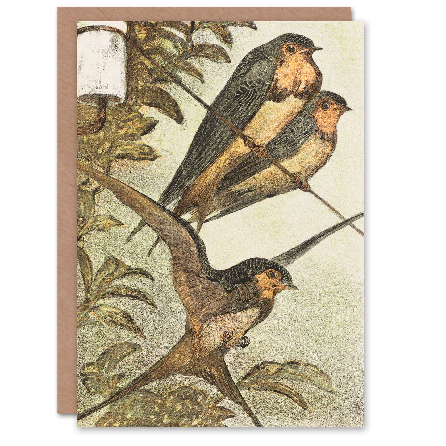 Theo van Hoytema Three Swallows Urban Spring Greetings Card