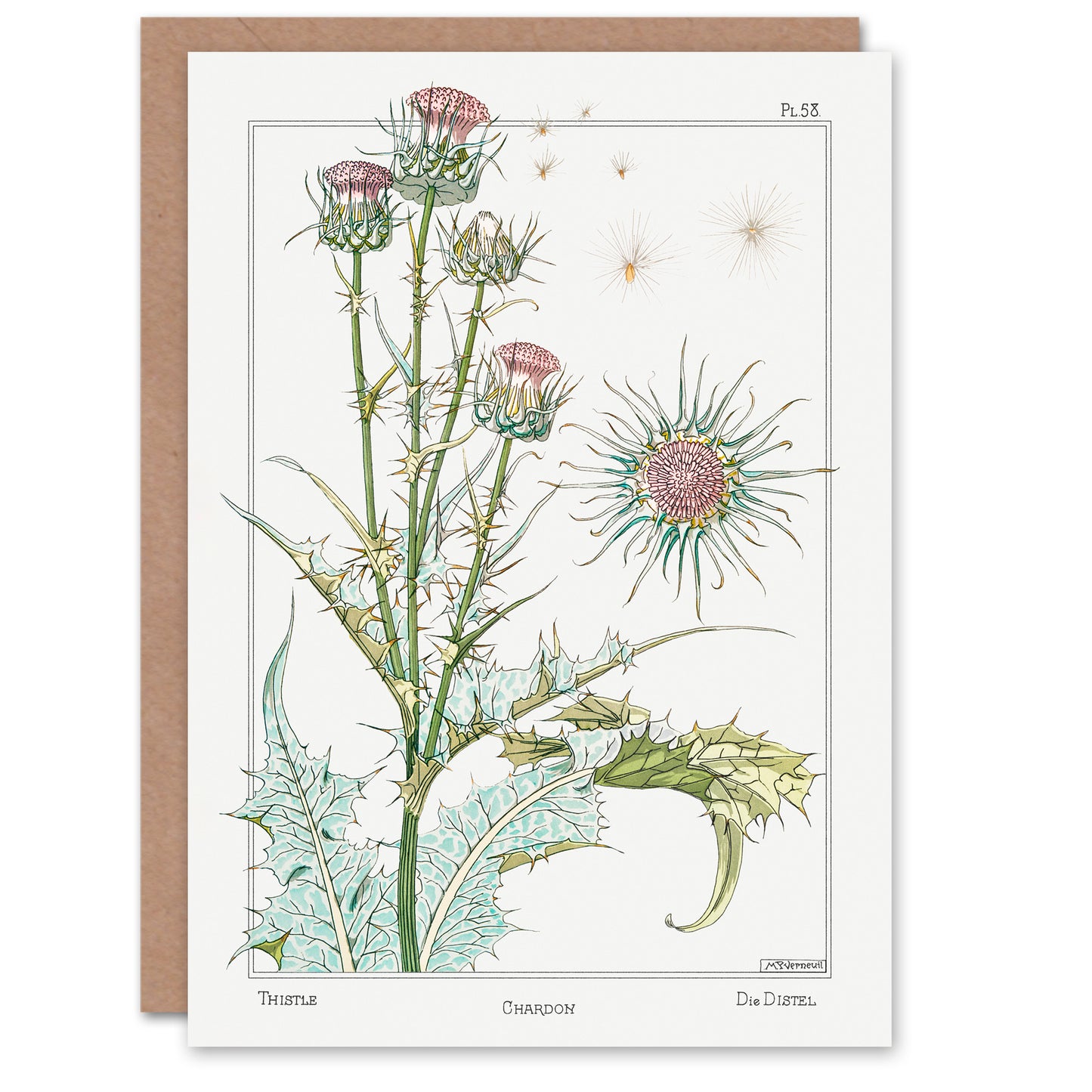 Maurice Pillard Verneuil Thistle Flower Plant Greetings Card