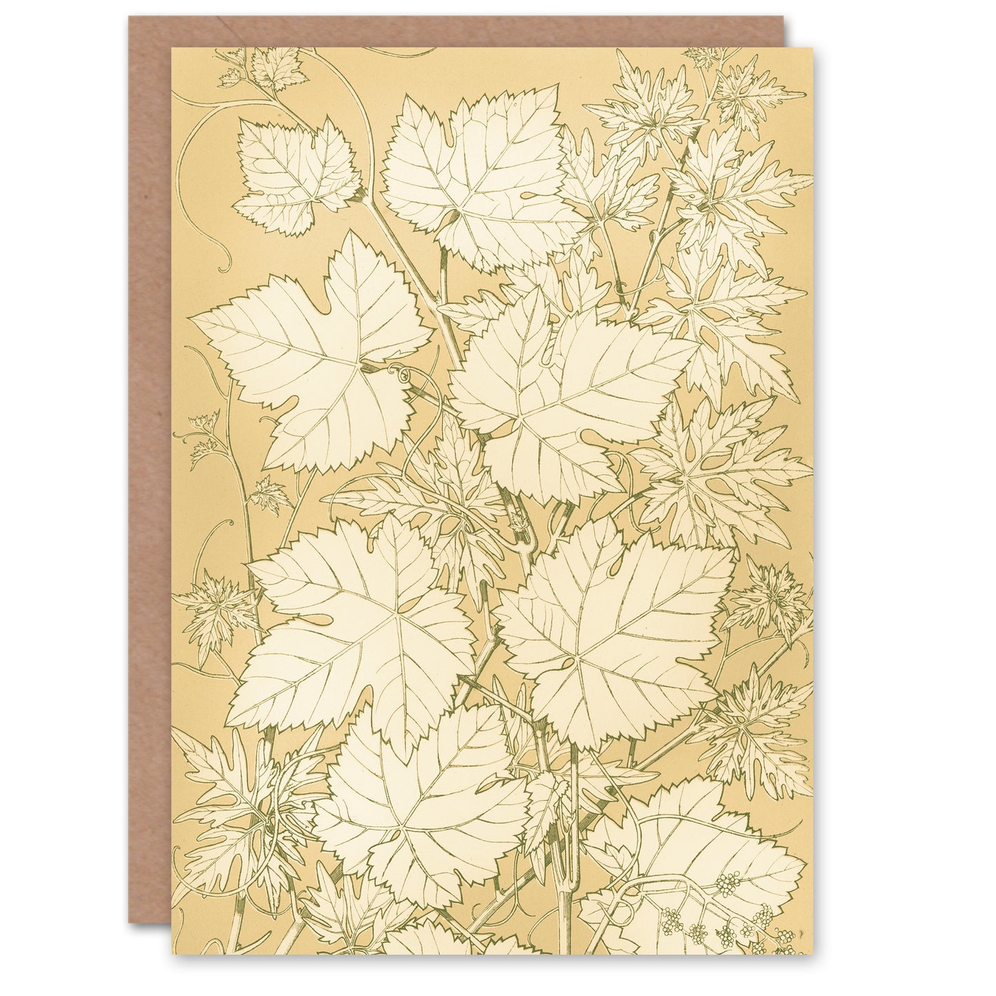 Owen Jones Art Card Leaves From Nature No 2 Vintage Botanical