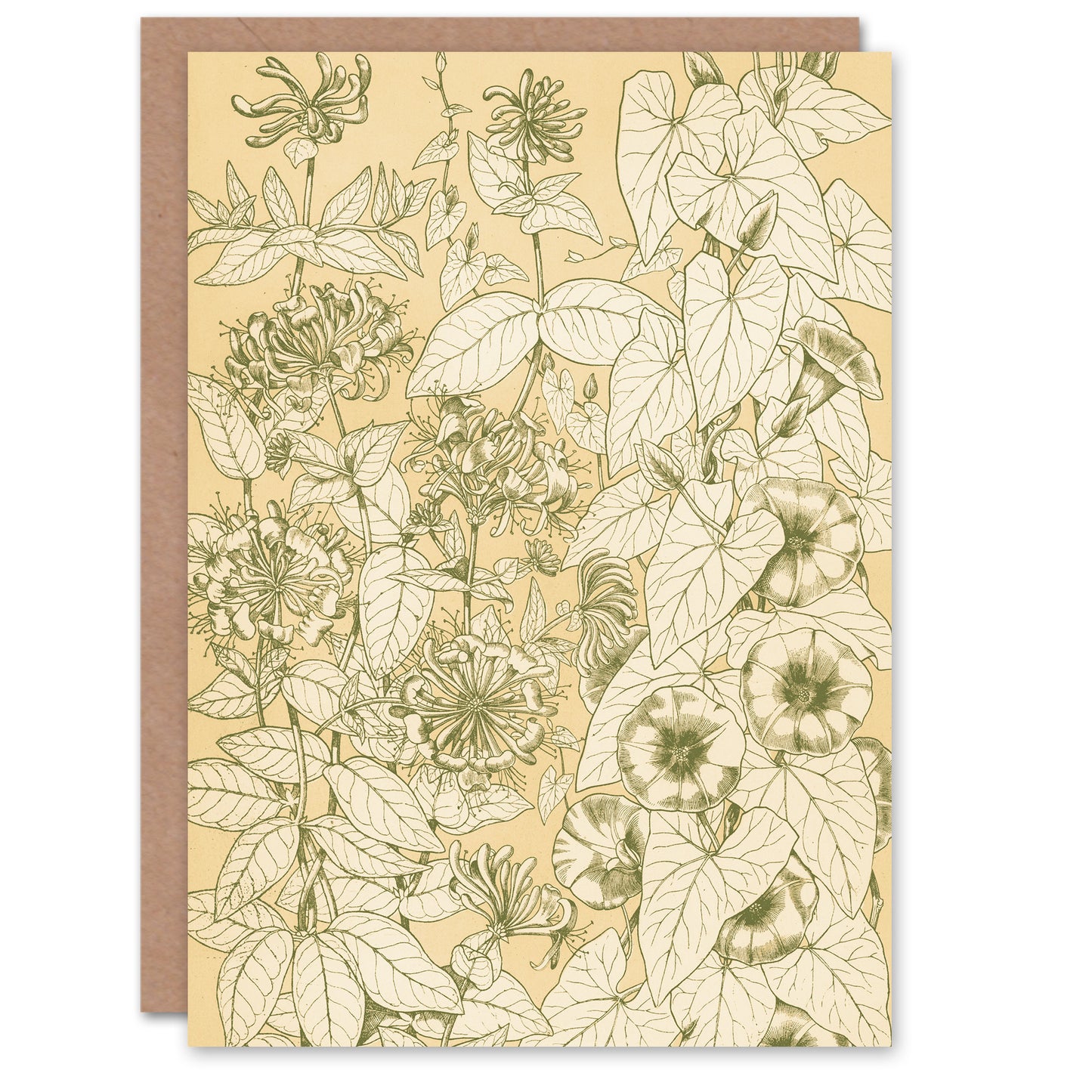 Owen Jones Art Card Leaves From Nature No 9 Vintage Botanical