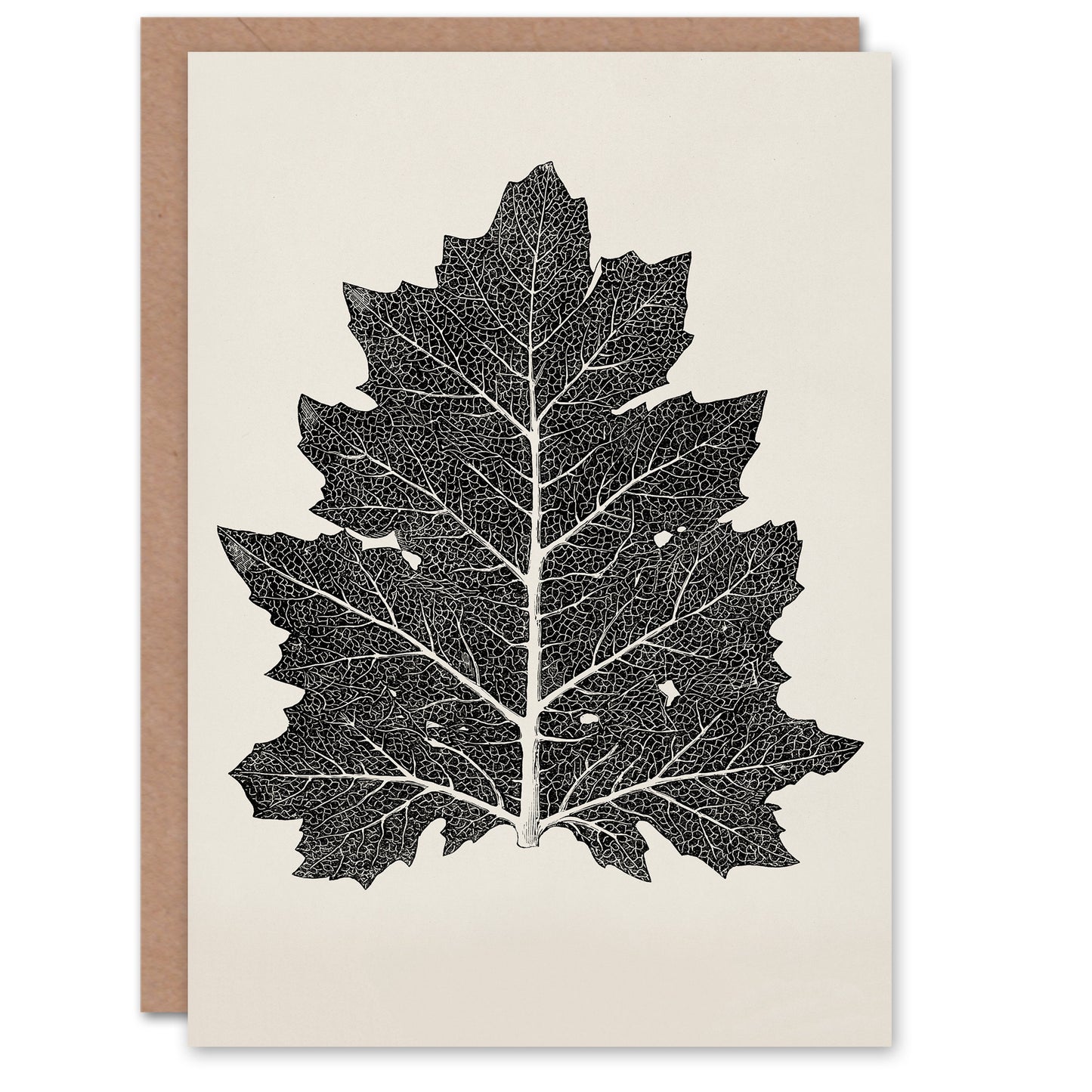 Owen Jones Art Card Vintage Black and White Leaf Drawing