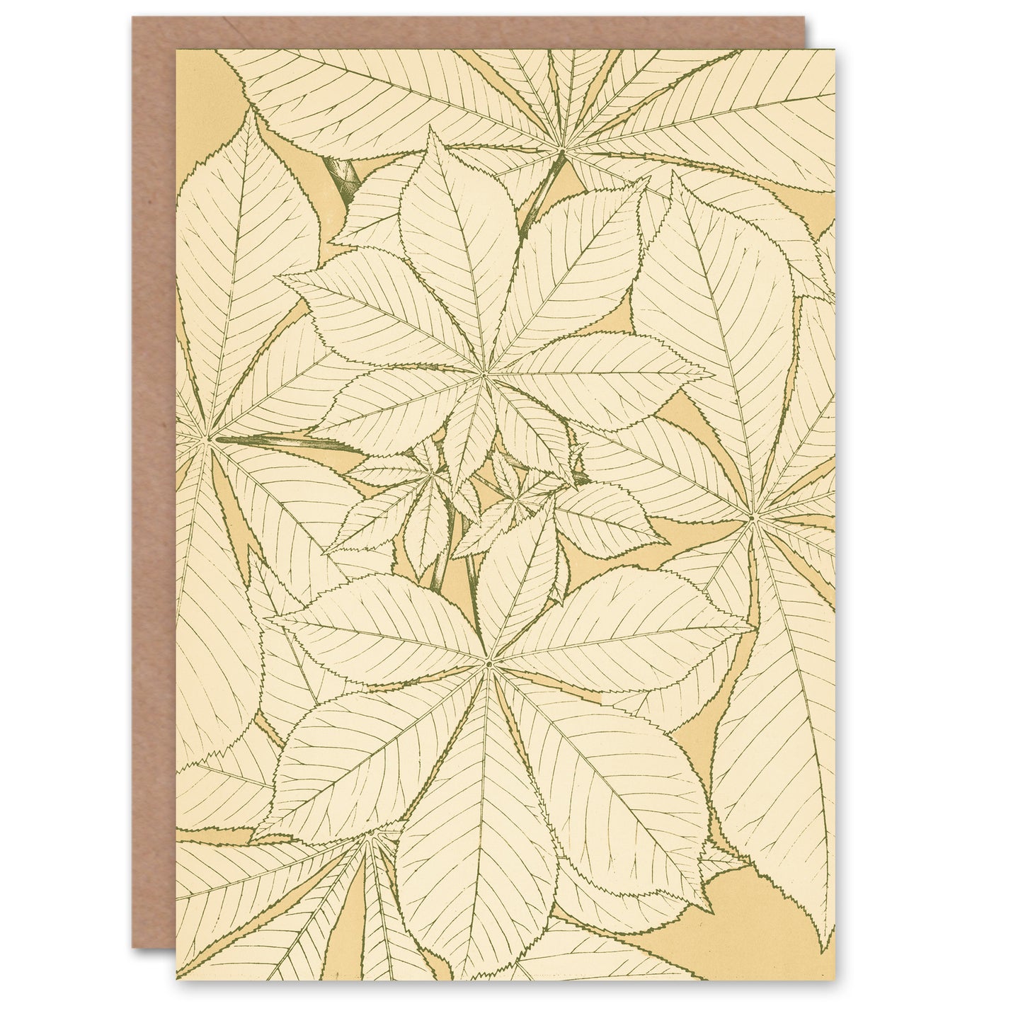 Owen Jones Art Card Leaves From Nature No 1 Vintage Botanical