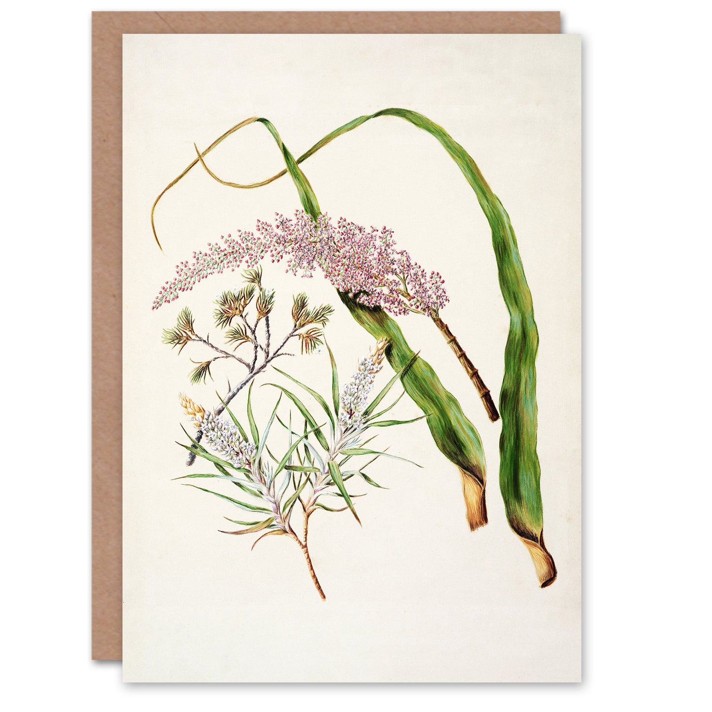 Sarah Featon Art Card Neinei Totorowhiti Turpentine Scrub Flowers