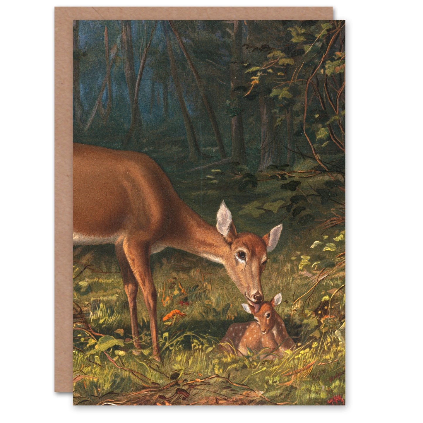 Arthur Fitzwilliam Tait Art Card Maternal Love Doe and Fawn