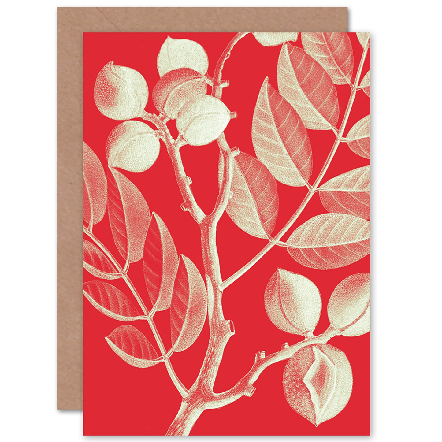 Red Xray Style Plant Tree Branch Botanical Greetings Card
