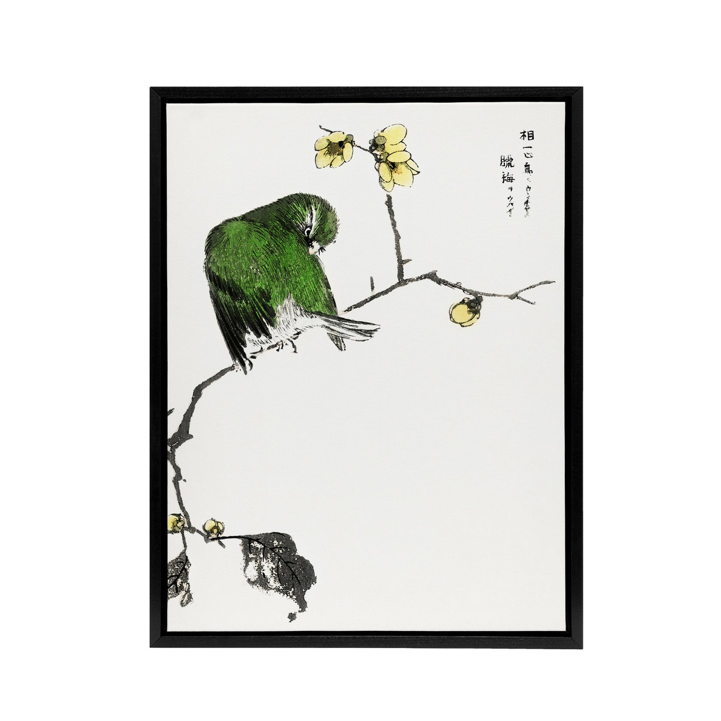 Fairy Pitta and Japanese Allspice Framed Canvas Wall Art Print Kashu