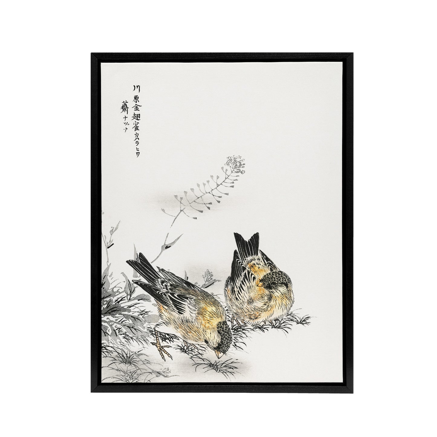 Greenfinch and Shepherd's Purse Plant Framed Canvas Wall Art Print Kashu