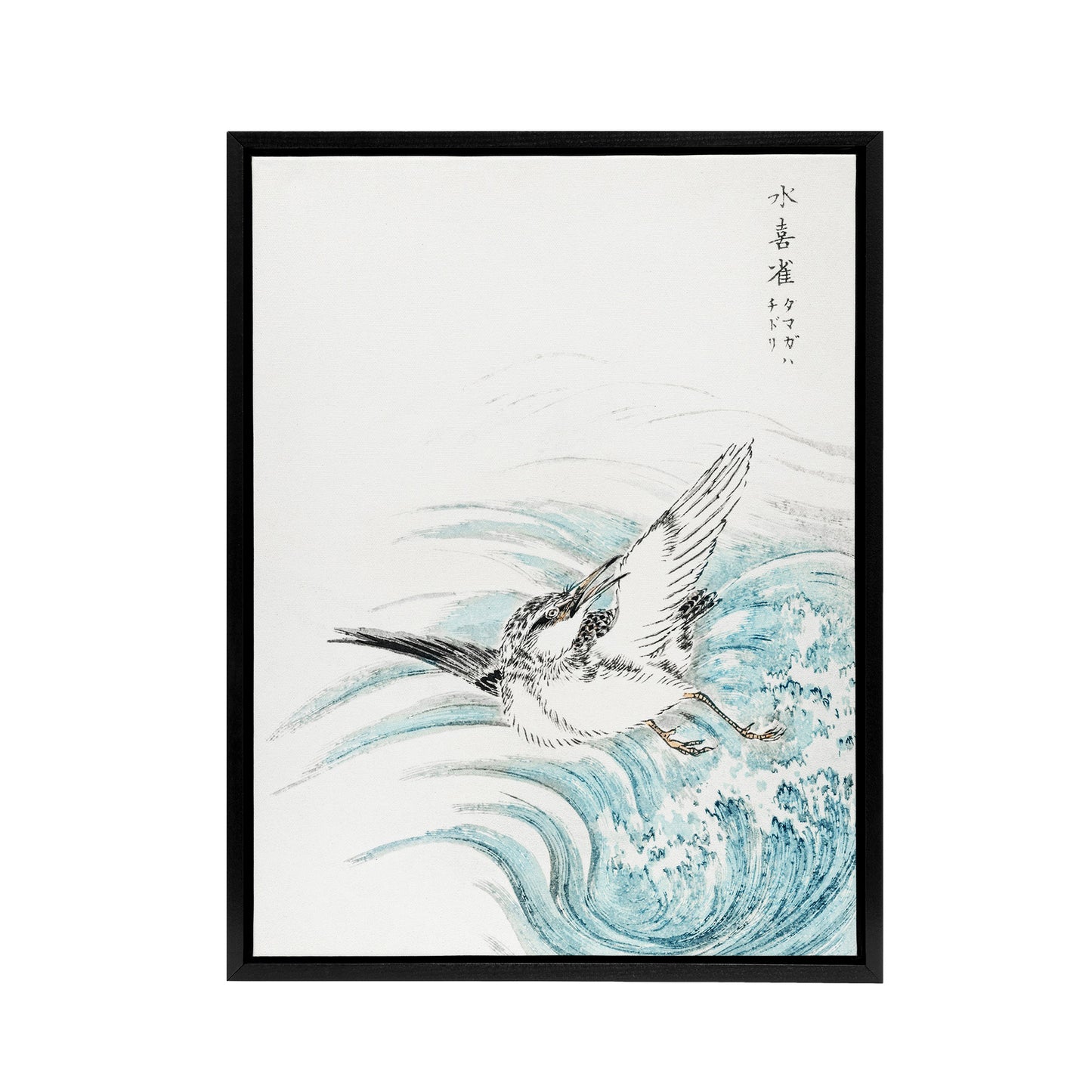 Mongolian Plover Japanese Framed Canvas Wall Art Print Numata Kashu