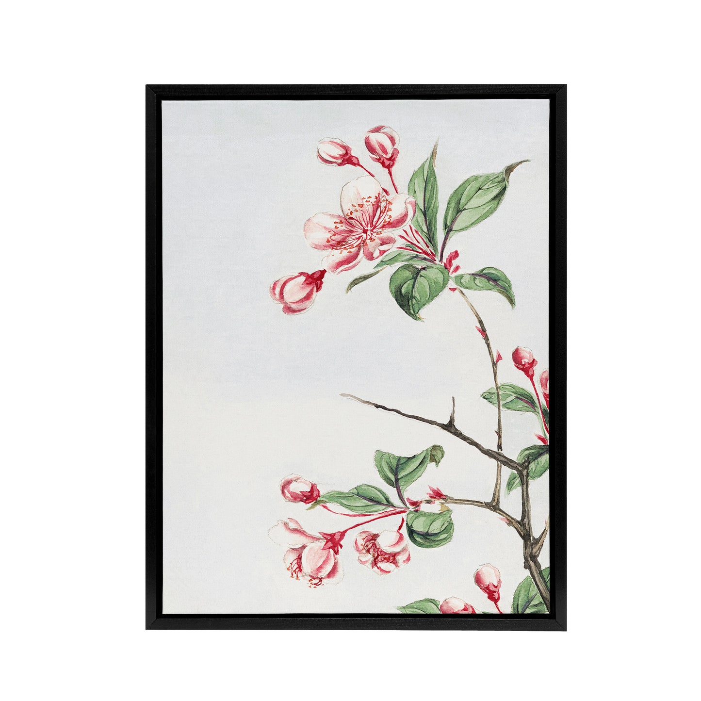 Kaido Crabapple Flower Bloom Framed Canvas Wall Art Print Japanese
