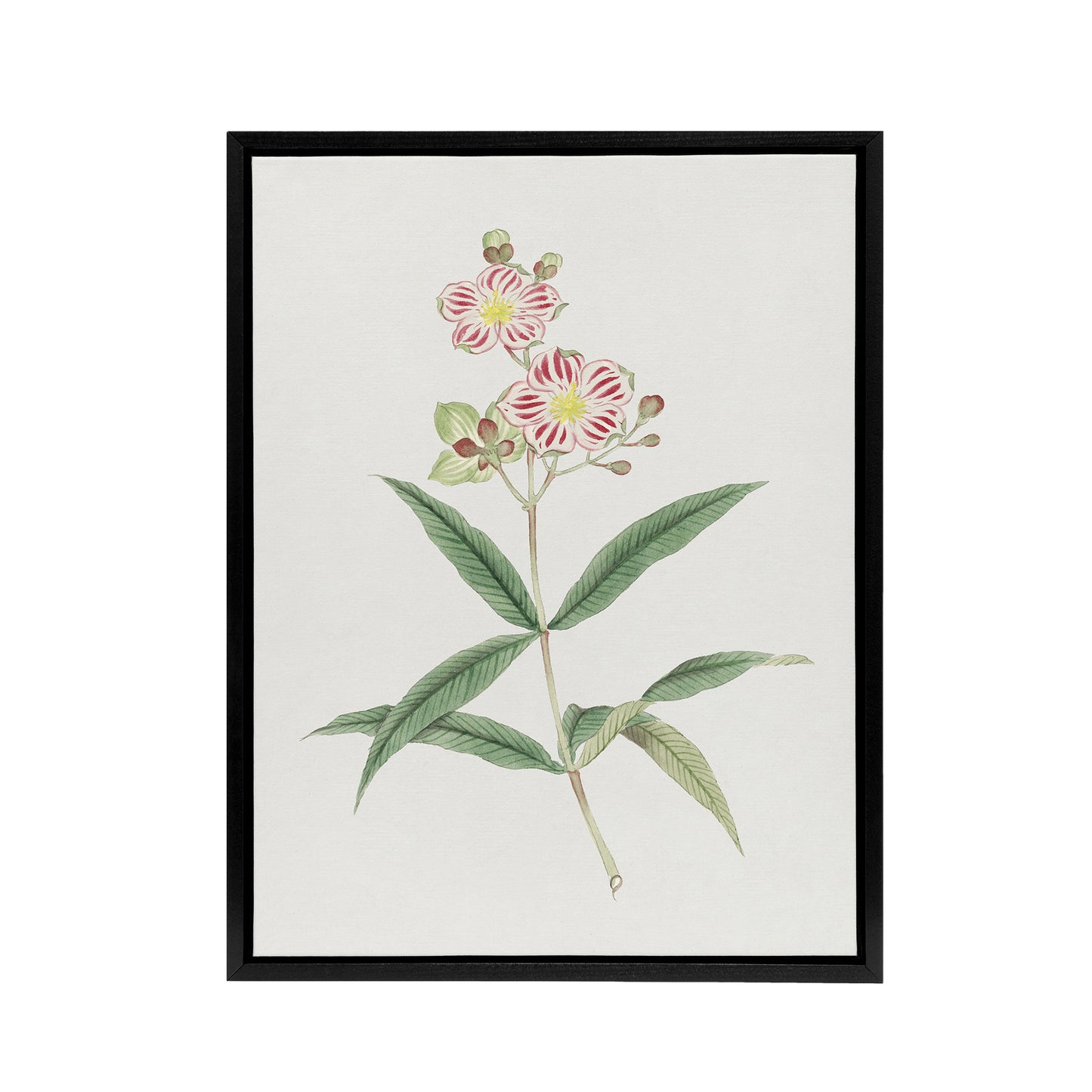 Red White Blossoms Framed Canvas Wall Art Print Vintage Japan Botanical