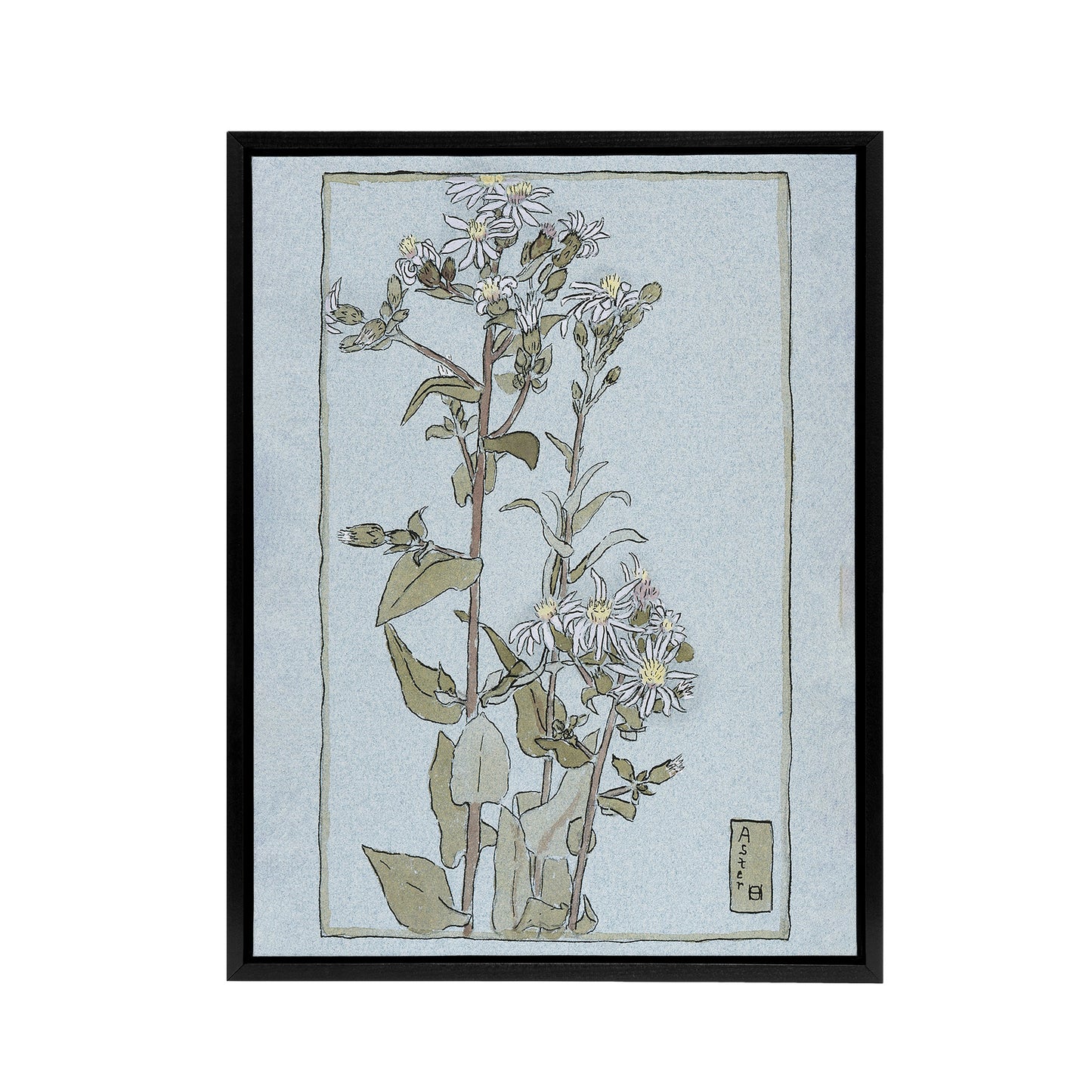 Aster on Green Ground Framed Canvas Wall Art Print Overbeck