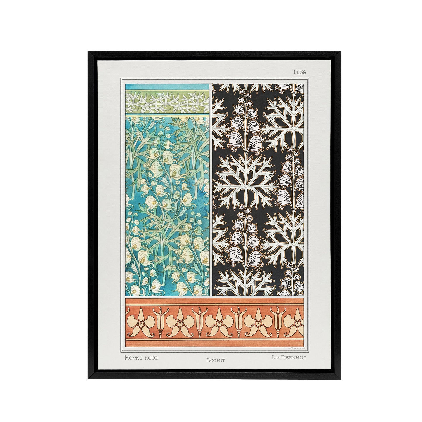 Aconite Monkshood Floral Patterns Framed Canvas Wall Art Print Verneuil