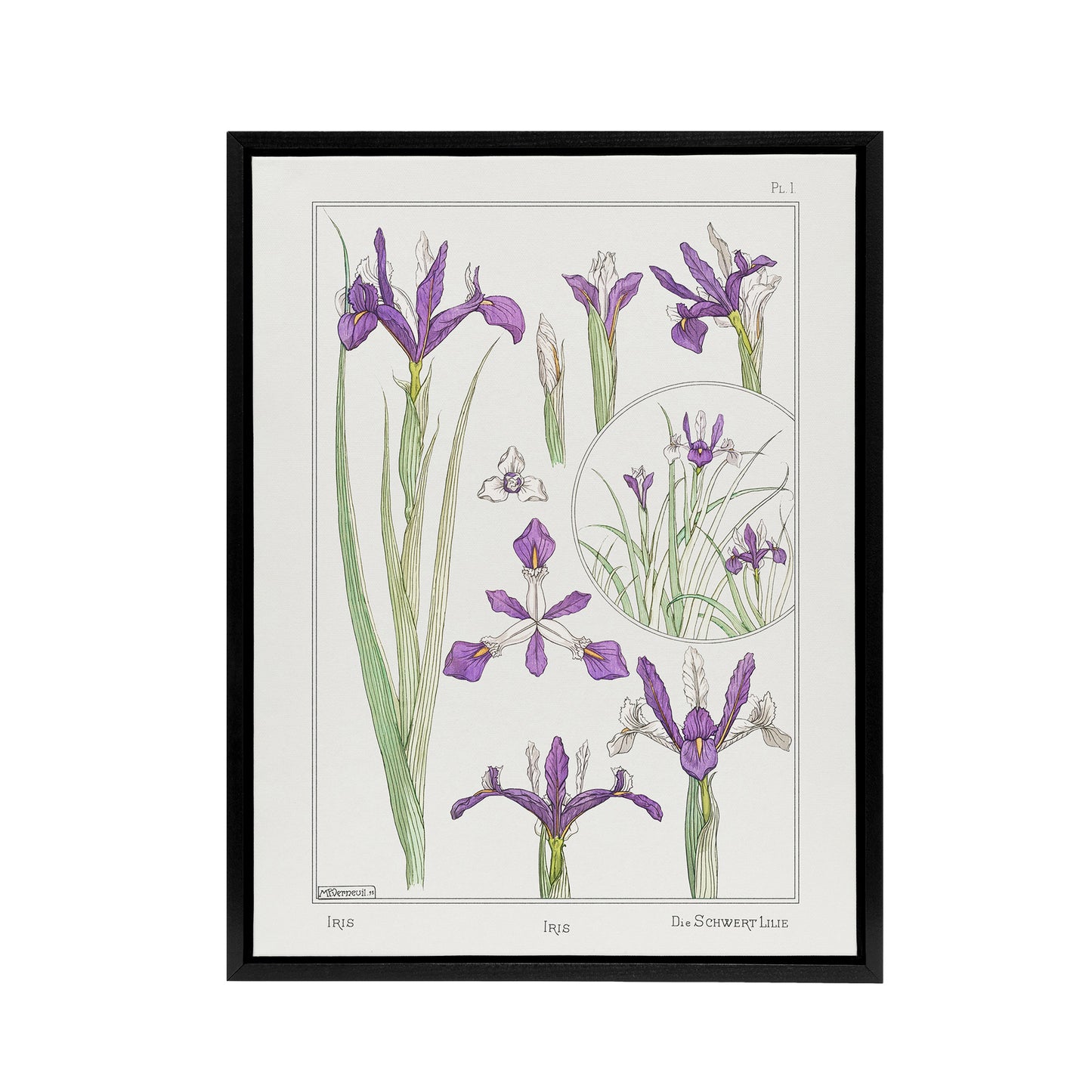 Purple Iris Flower Framed Canvas Wall Art Print Vintage Floral Verneuil