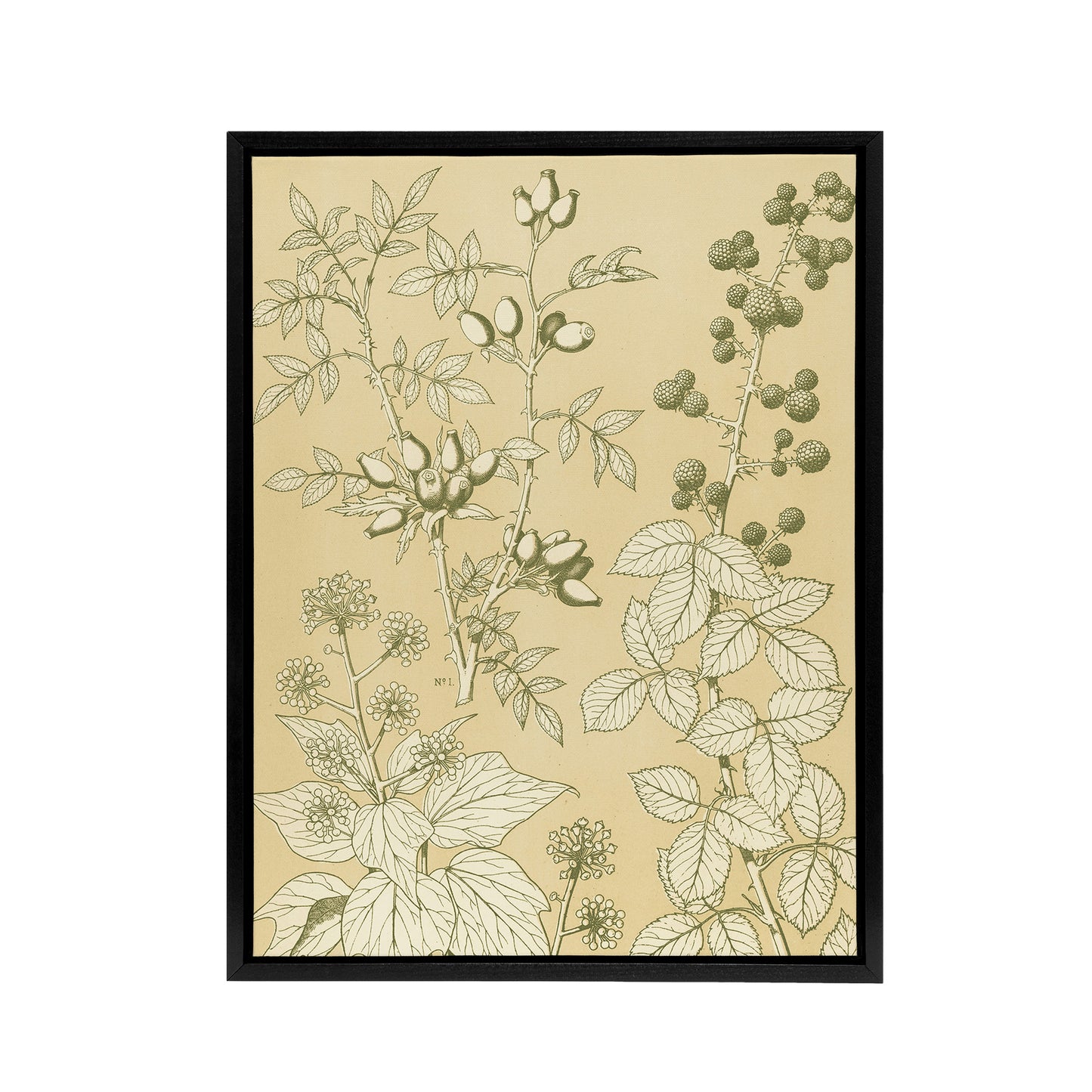 Wild Rose Ivy Blackberry Botanical Jones Vintage Framed Canvas Wall Art