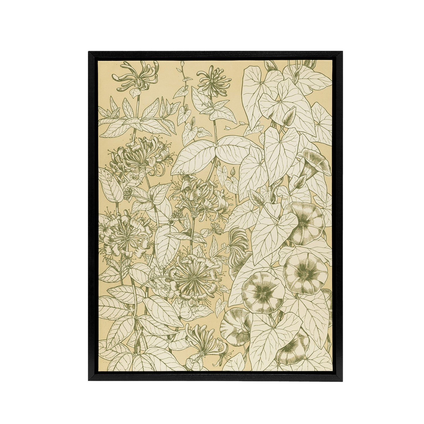 Leaves From Nature No 9 Botanical Jones Vintage Framed Canvas Wall Art