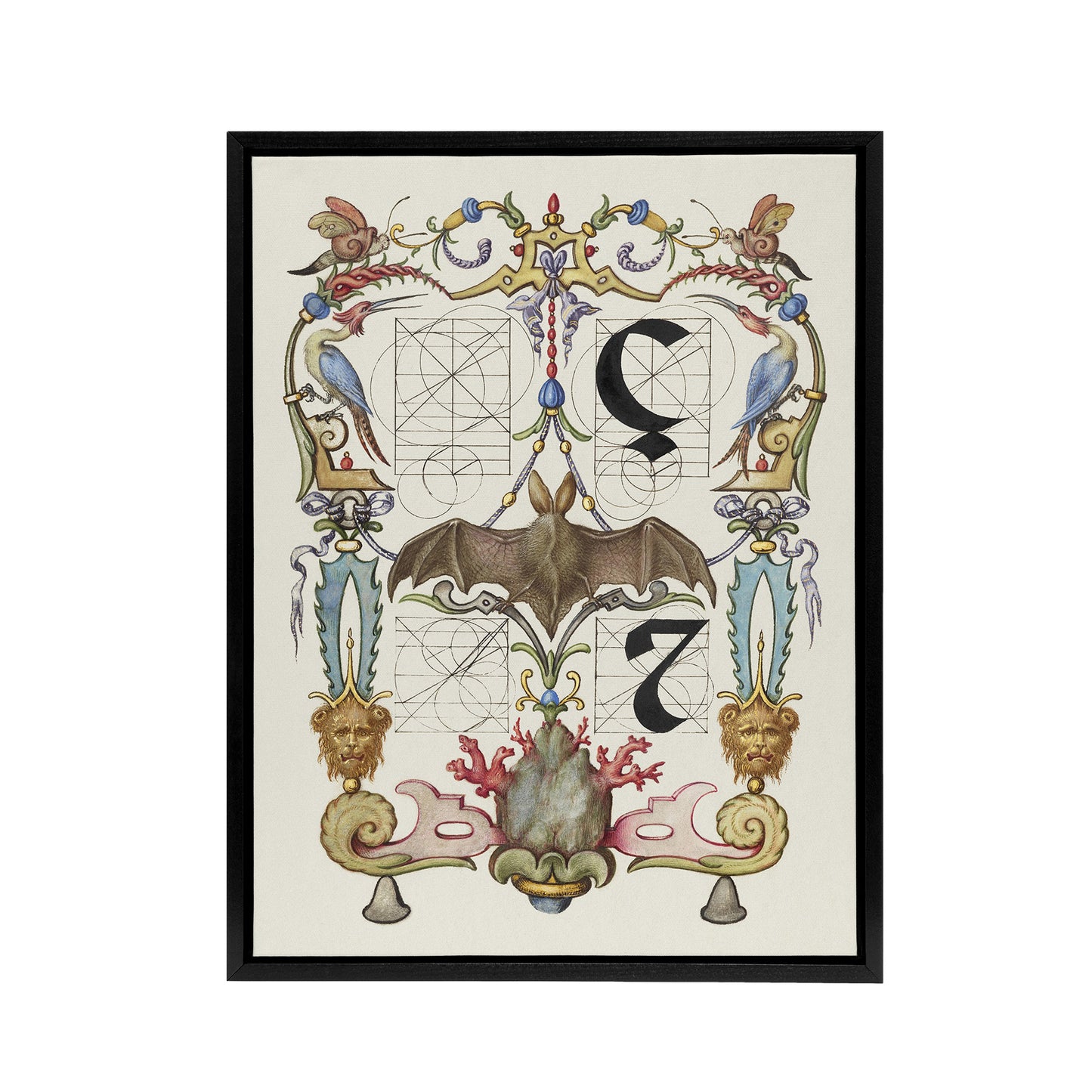 Pictoral Letter Guide with Bat Calligraphy Framed Canvas Wall Art Print