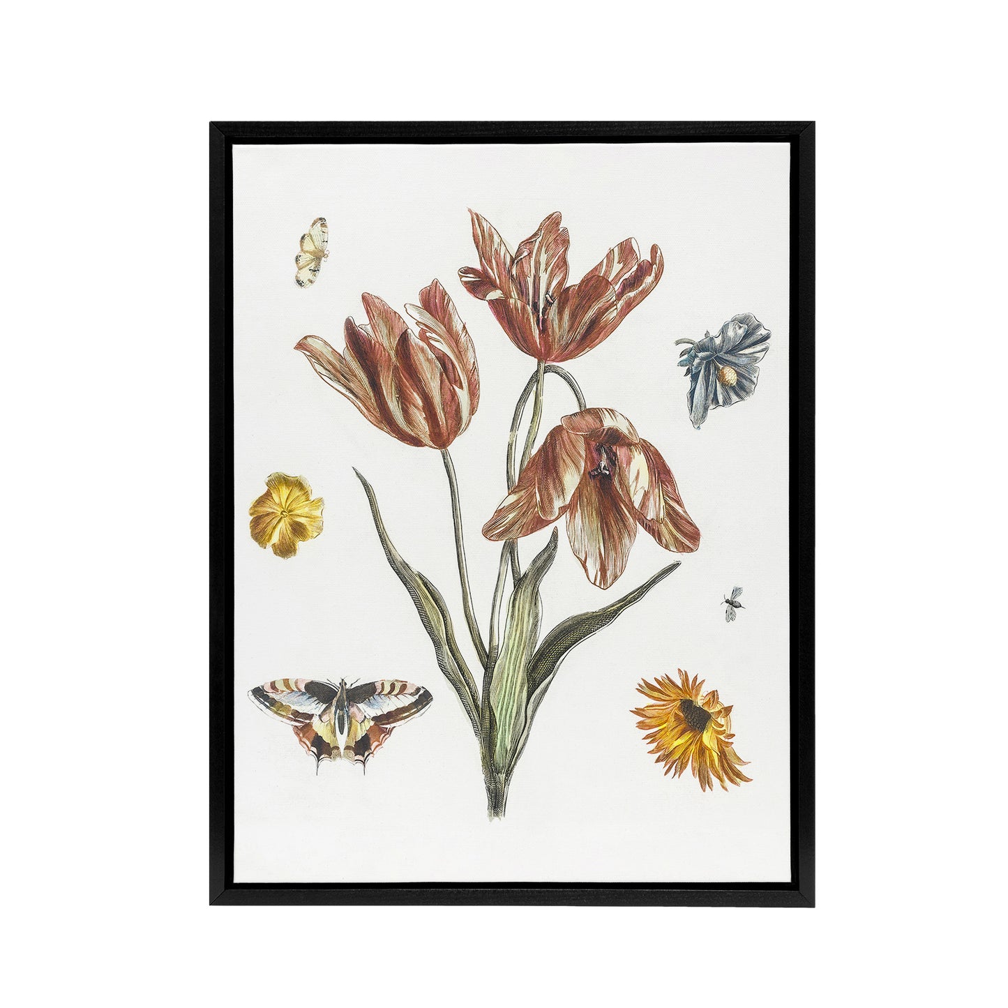 Flowers Butterflies And A Fly Johan Teyler Black Framed Canvas Wall Art