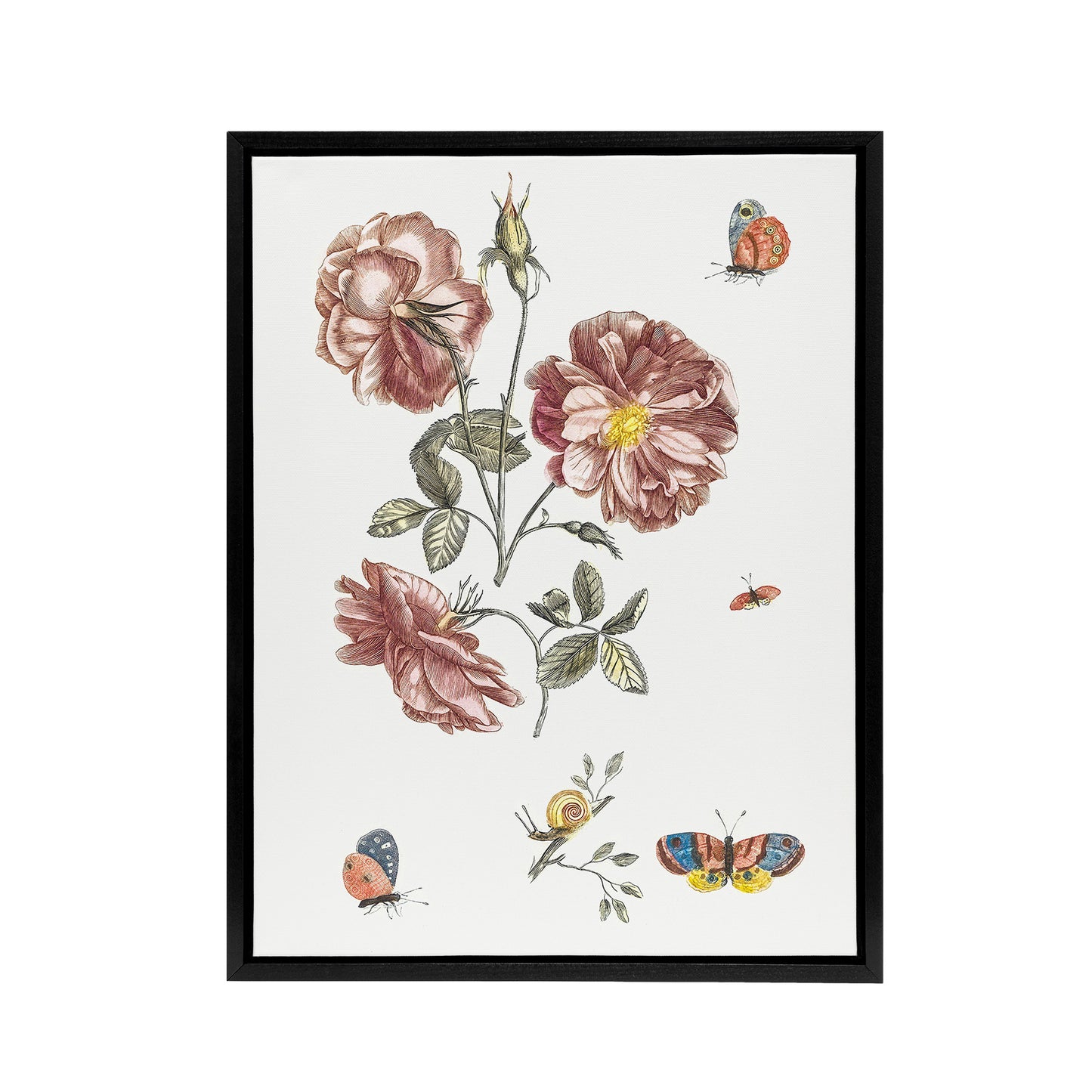 Rose Flowers Butterflies and a Snail Teyler Black Framed Canvas Wall Art