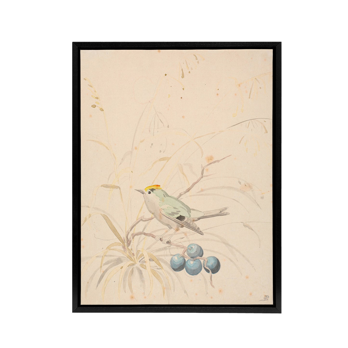 PC Skovgaard Kingbird on a Meadow Branch Black Framed Canvas Wall Art Print