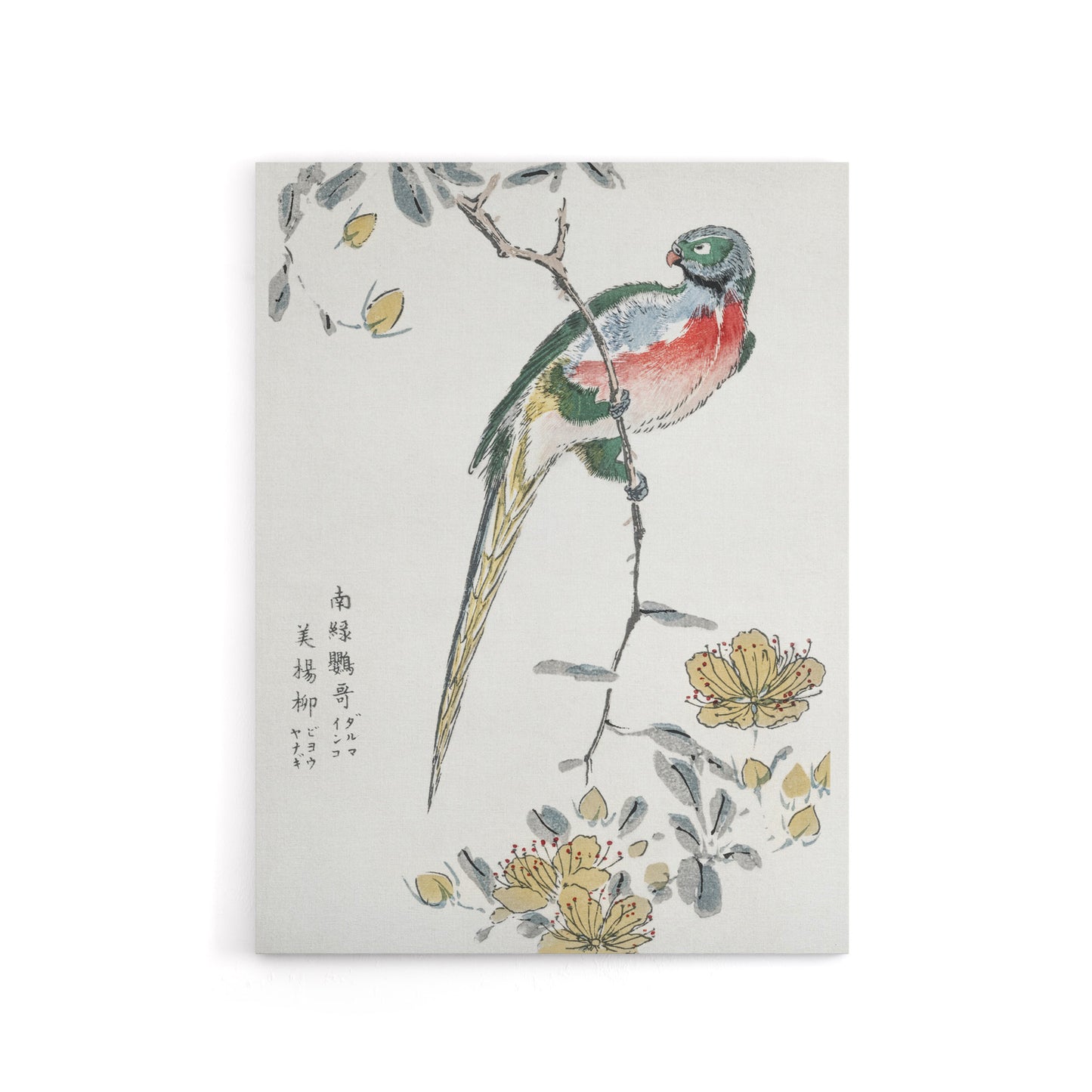 Macaw Parrot and Peach Flowers Canvas Wall Art Print Numata Kashu