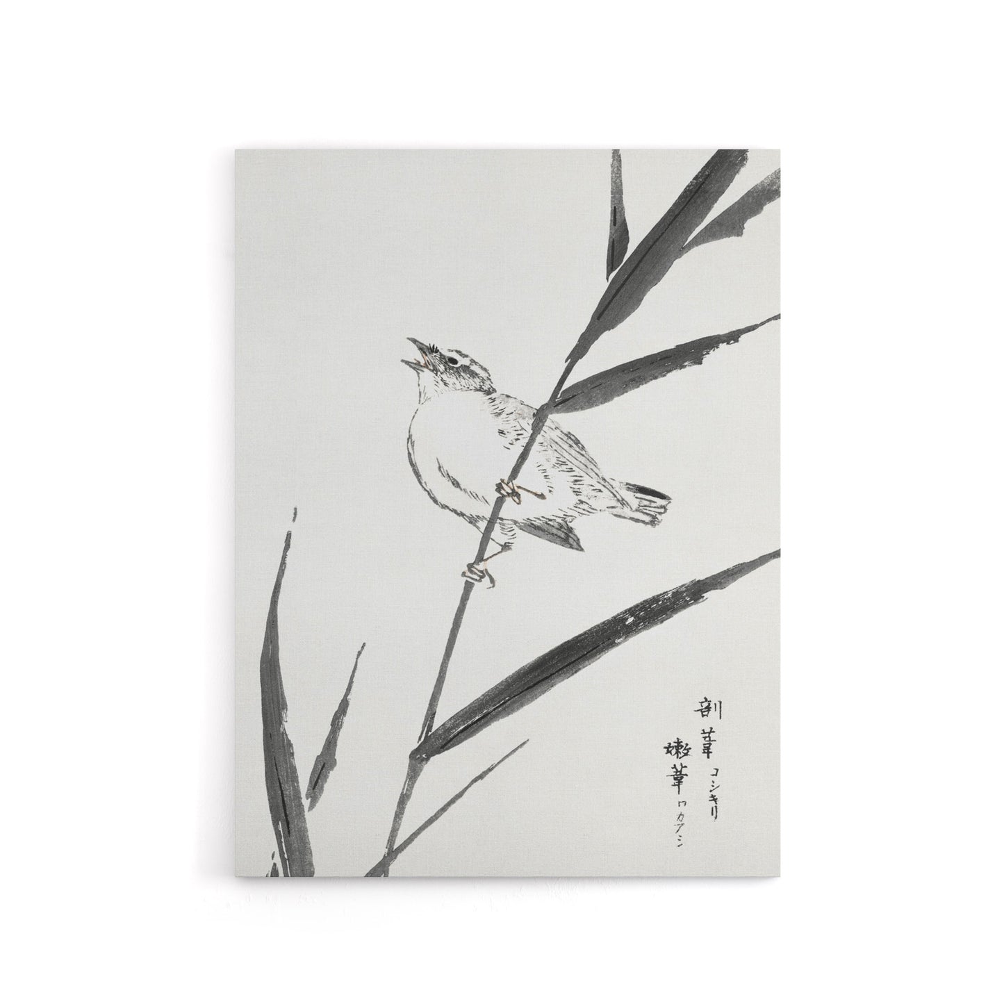 Reed Bunting and Reed Japanese Canvas Wall Art Print Numata Kashu