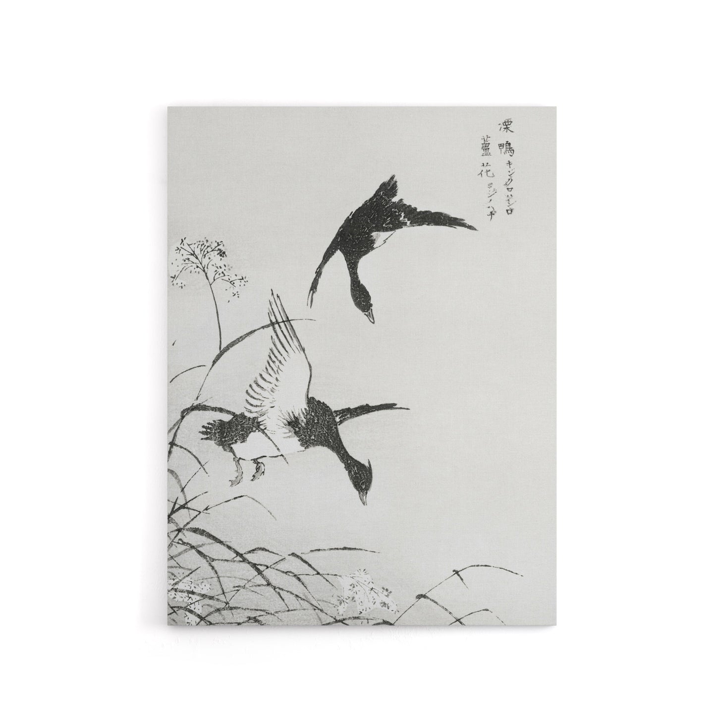 Tufted Duck and Reed Flower Japanese Canvas Wall Art Print Kashu