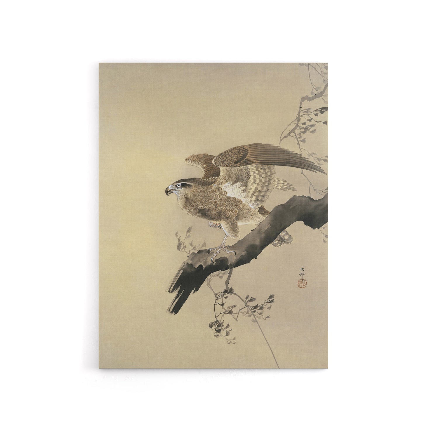 Hawk Bird of Prey on Tree Branch Canvas Wall Art Print Koson