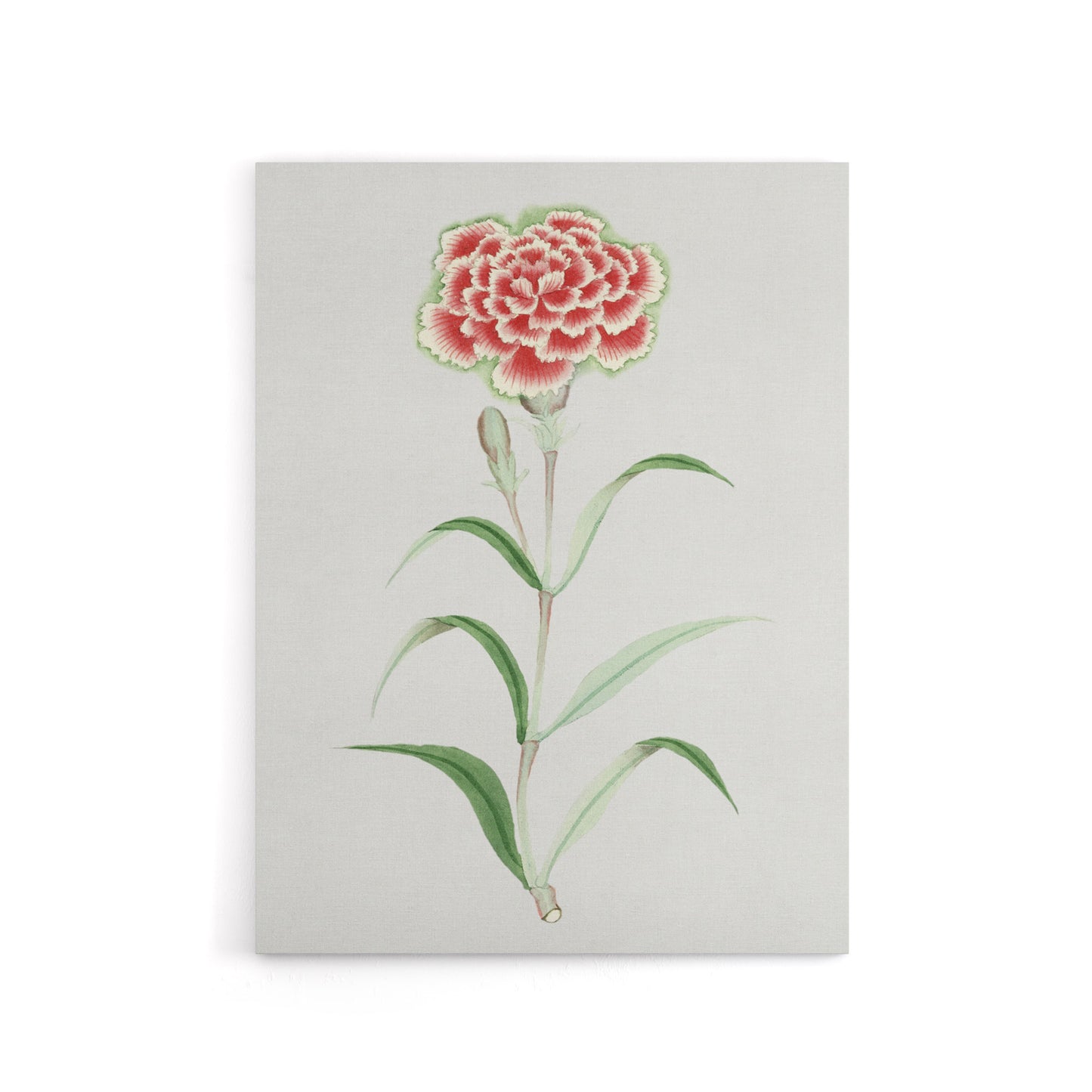 Carnation Flower Canvas Wall Art Print Vintage Japanese Botanical