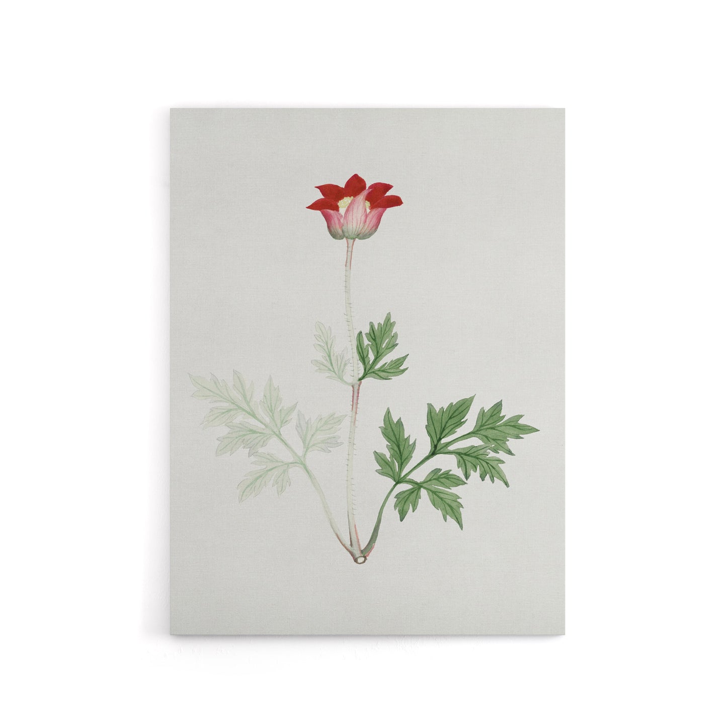 Red Bloom Flower Canvas Wall Art Print Vintage Japanese Botanical