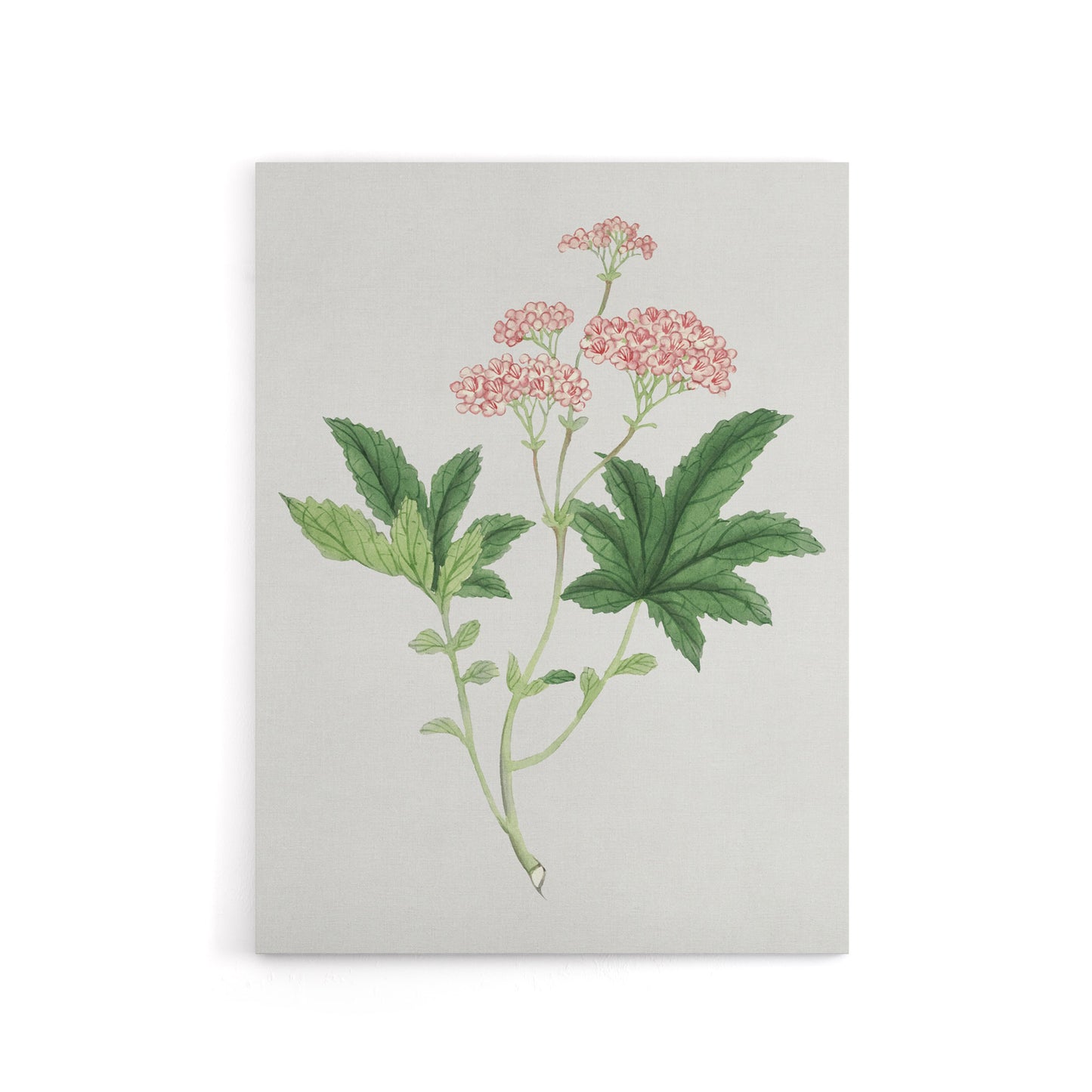 Shimotsuke Flower Canvas Wall Art Print Vintage Japan Botanical