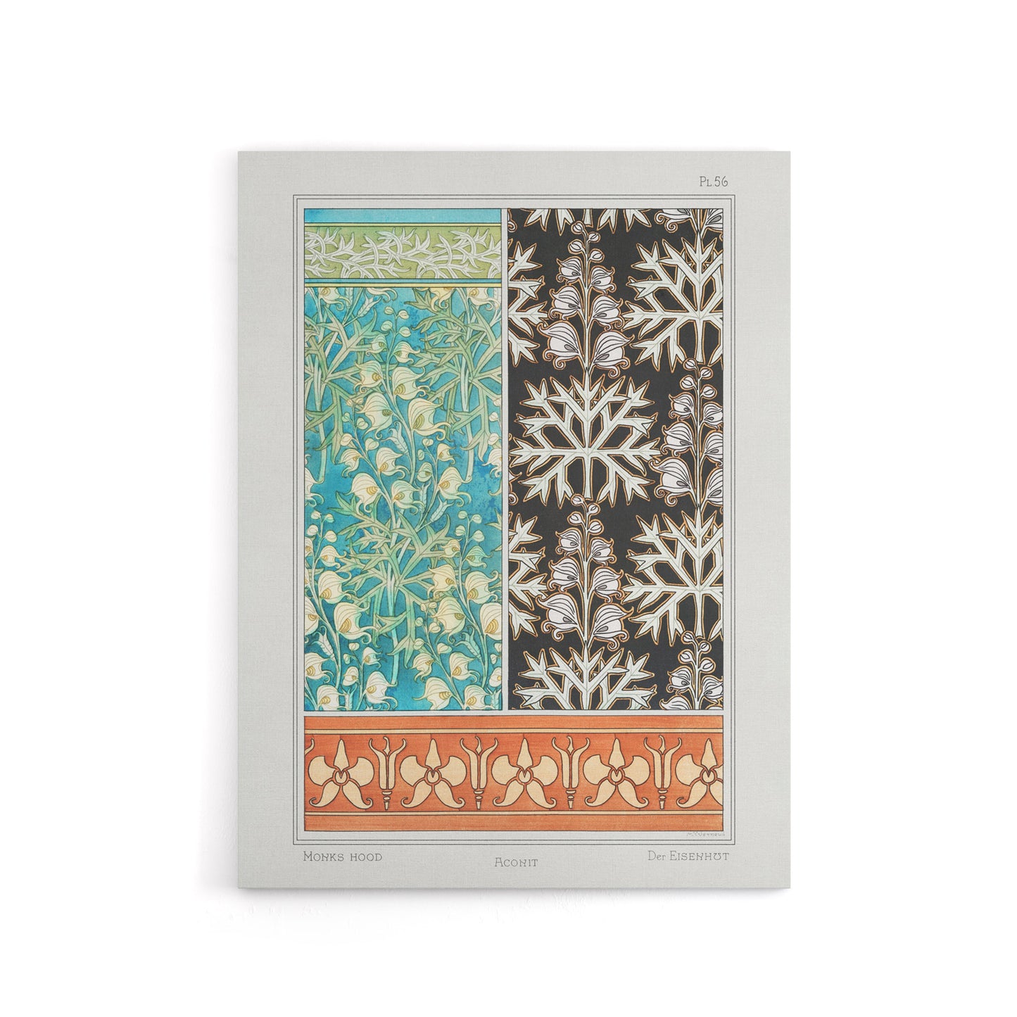 Aconite Monkshood Floral Patterns Canvas Wall Art Print Verneuil
