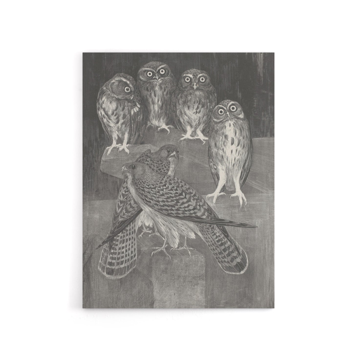 Four Owls and Two Kestrels Canvas Wall Art Print van Hoytema