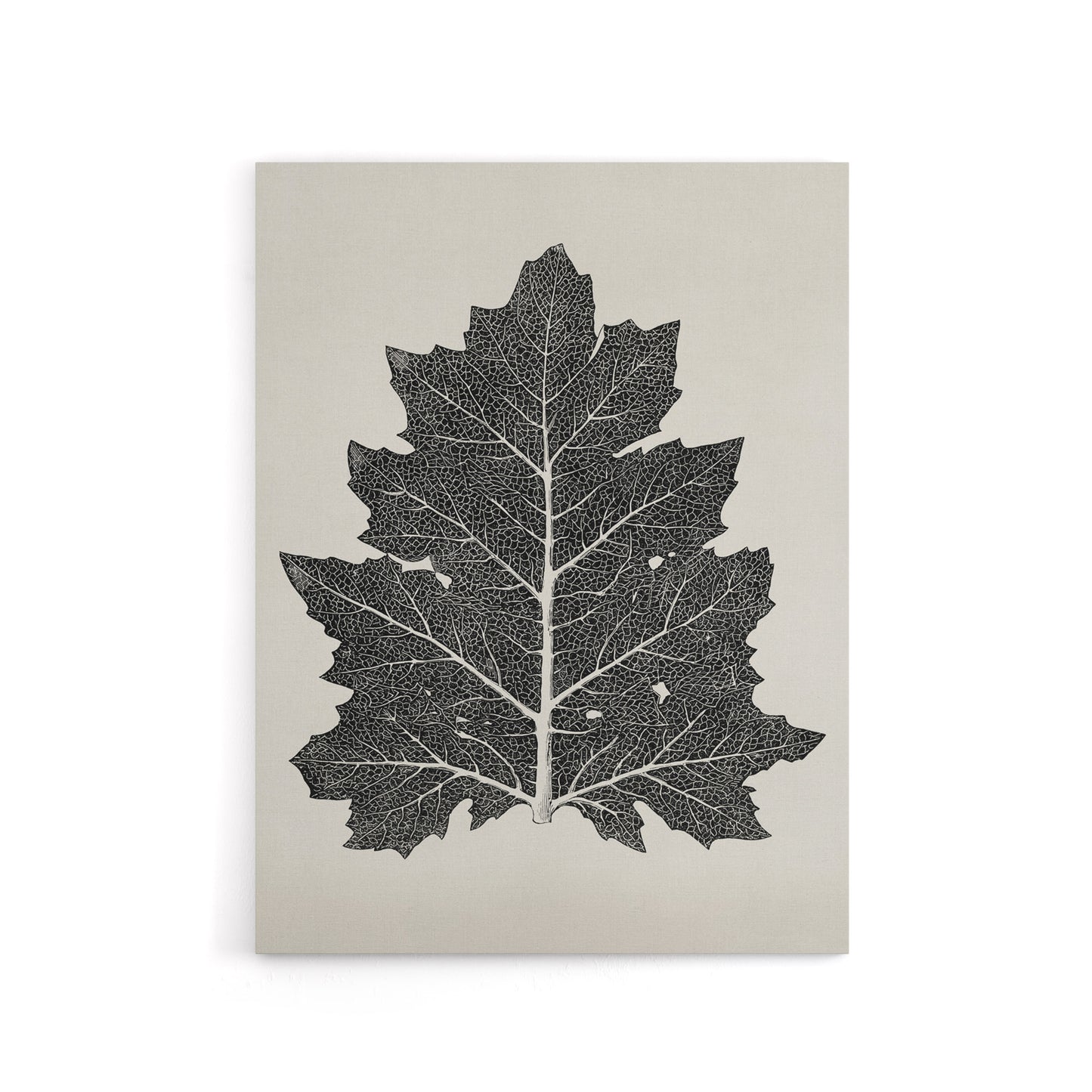Black and White Leaf Drawing Owen Jones Vintage Canvas Wall Art