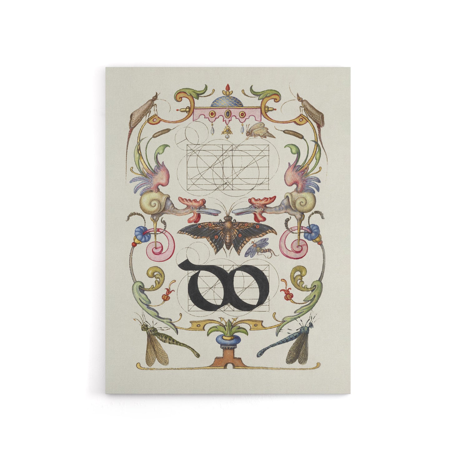 Ligature Guide with Butterfly Calligraphy Canvas Wall Art Print