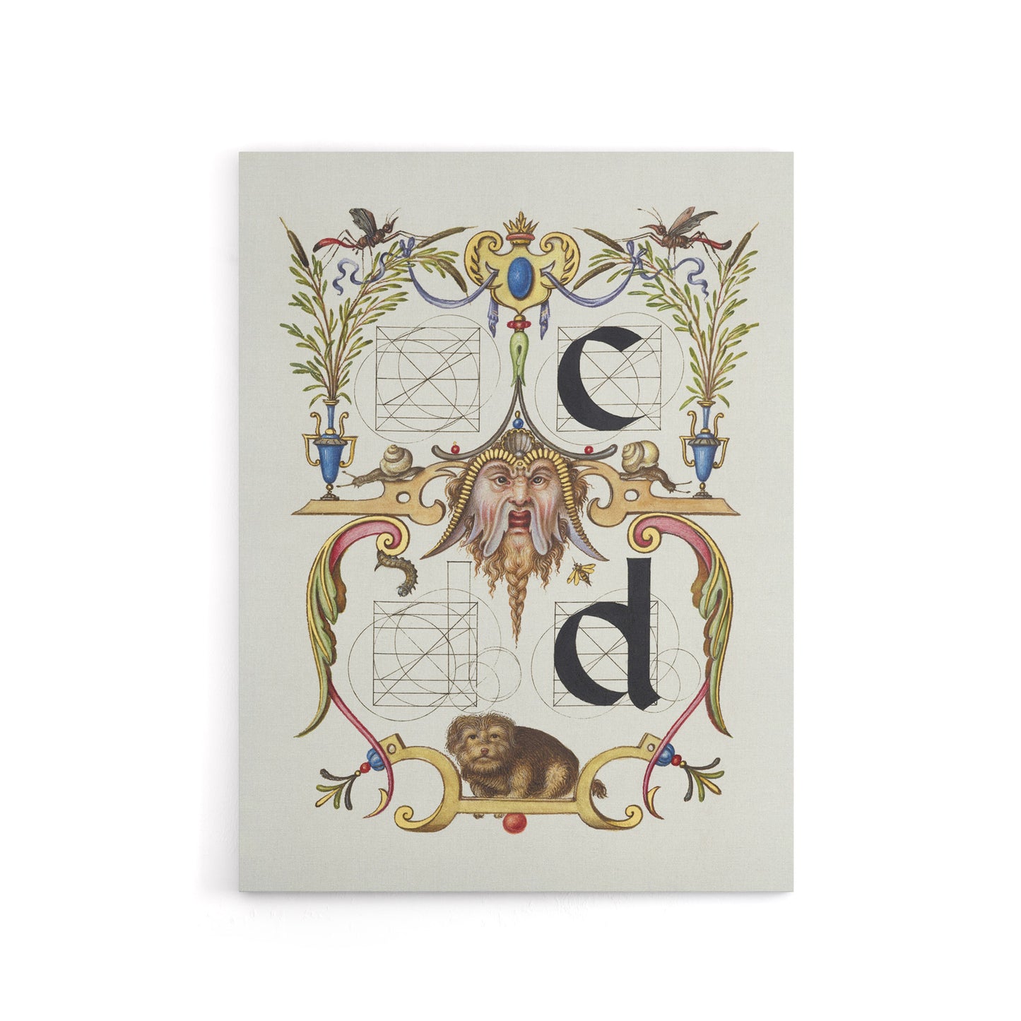 Pictoral Letter Guide C And D Calligraphy Canvas Wall Art Print