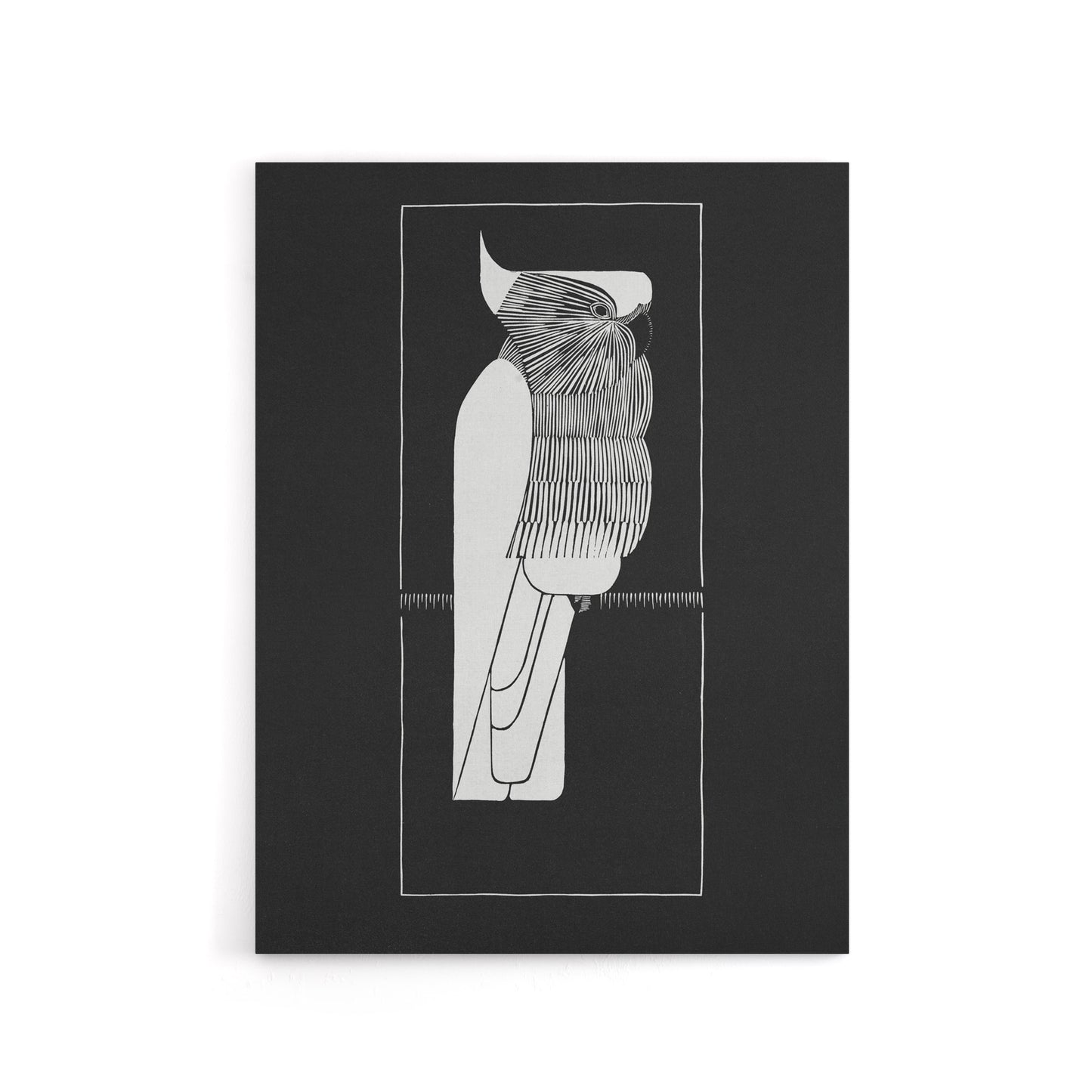 Sulphur Crested Cockatoo Parrot De Mesquita Canvas Wall Art Print