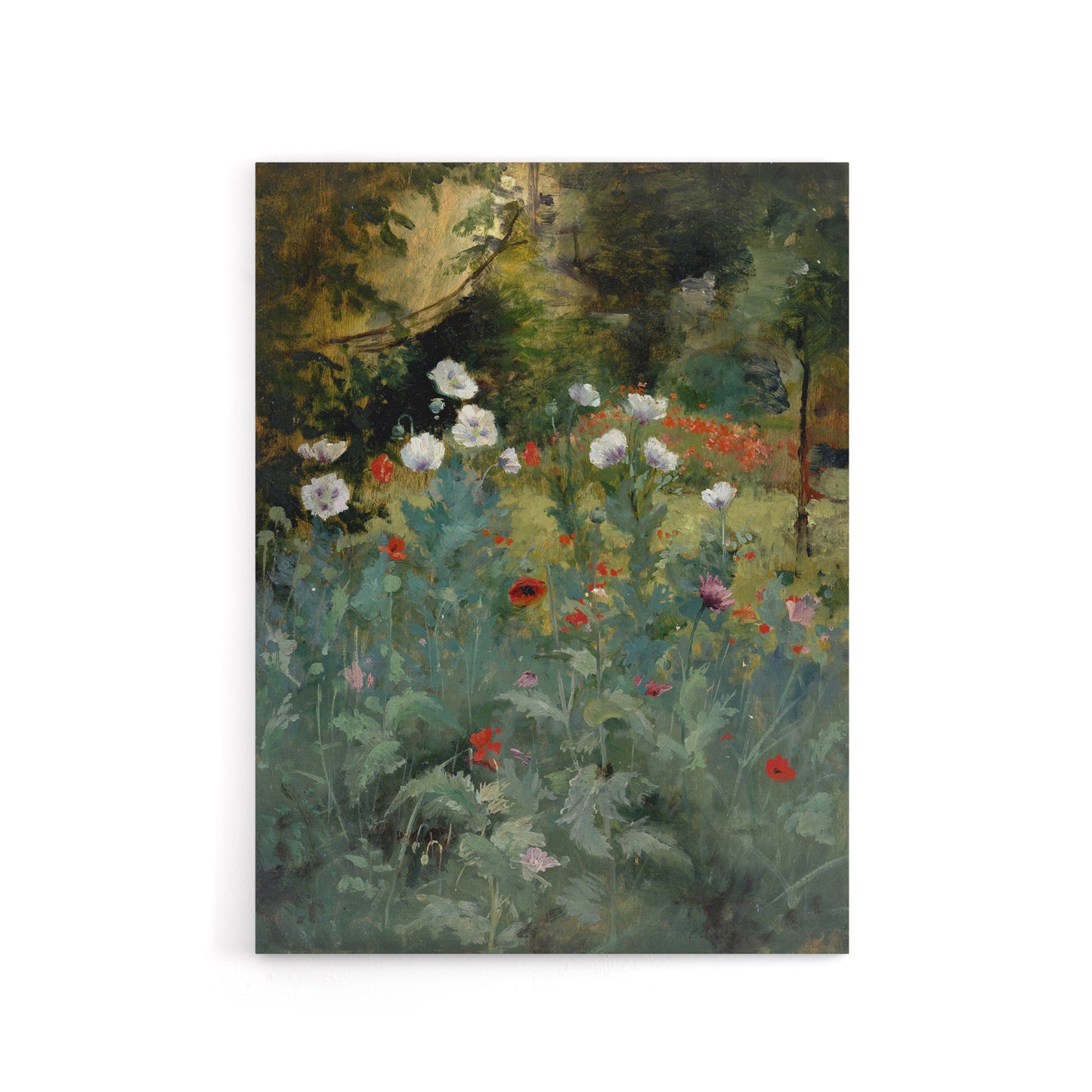 Eliphalet Andrews Poppies Wildflower Painting Canvas Wall Art Print