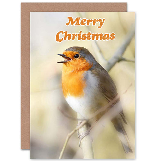 Red Breast Robin Bird Christmas Card