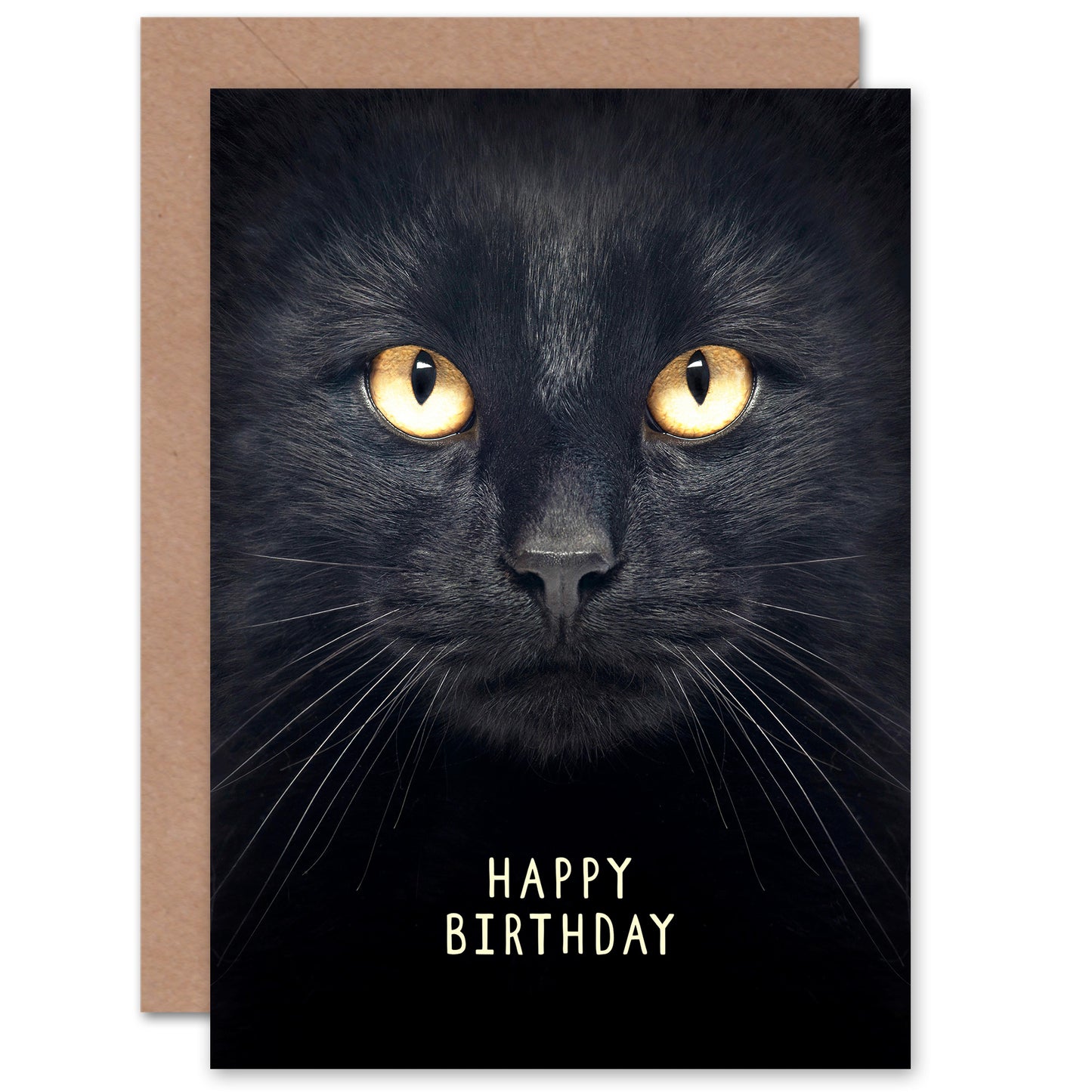 Black Cat Lover For Him or Her Birthday Card