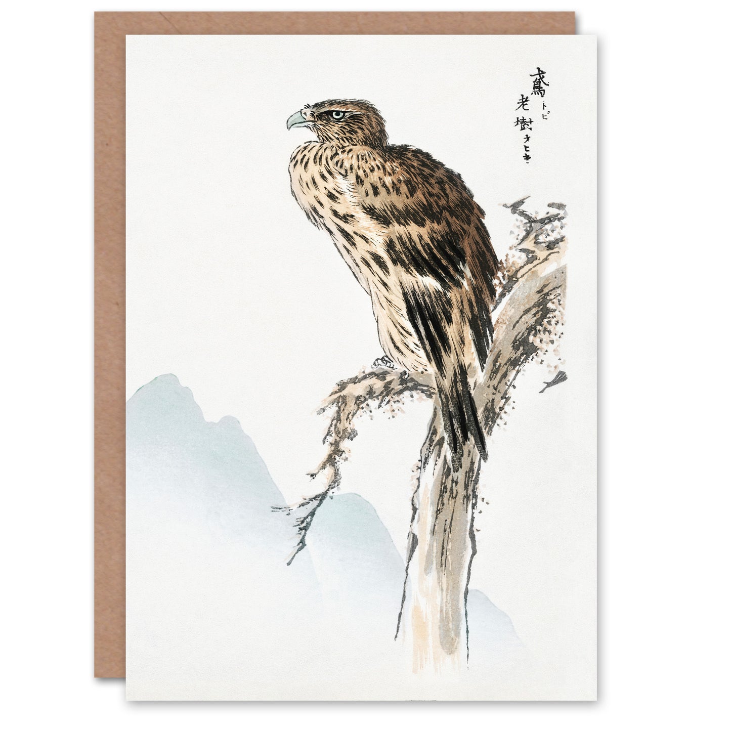 Numata Kashu Black Eared Kite Bird Japanese Greetings Card