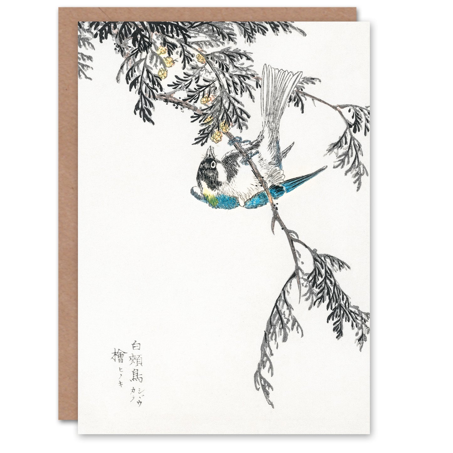 Numata Kashu Great Tit and Japanese Cypress Japanese Greetings Card