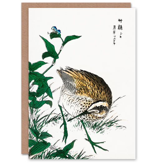 Numata Kashu Greenshank and Bupleurum Japanese Greetings Card