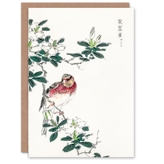Numata Kashu Long Tailed Rosefinch Japanese Greetings Card